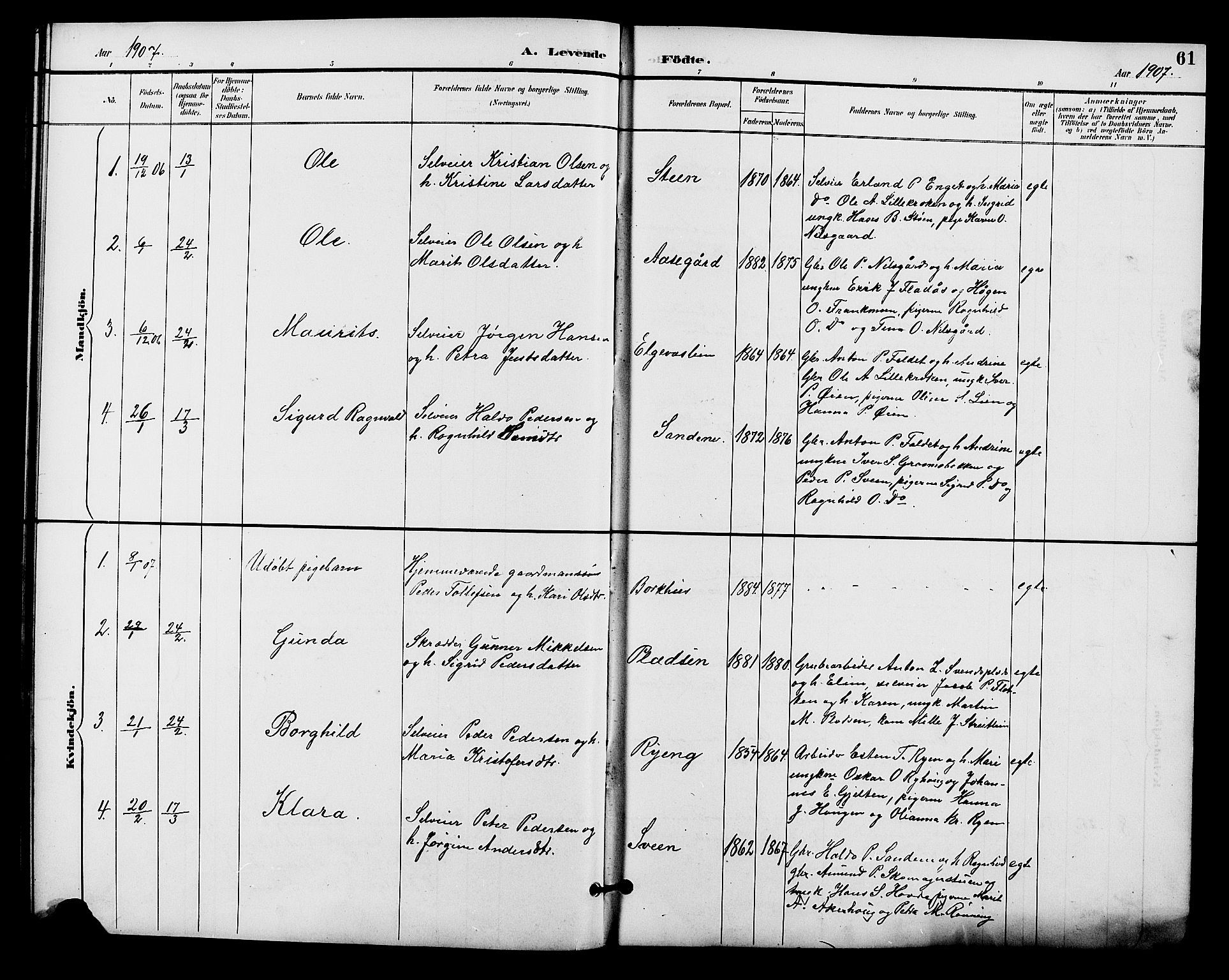 Alvdal prestekontor, AV/SAH-PREST-060/H/Ha/Hab/L0004: Parish register (copy) no. 4, 1894-1910, p. 61