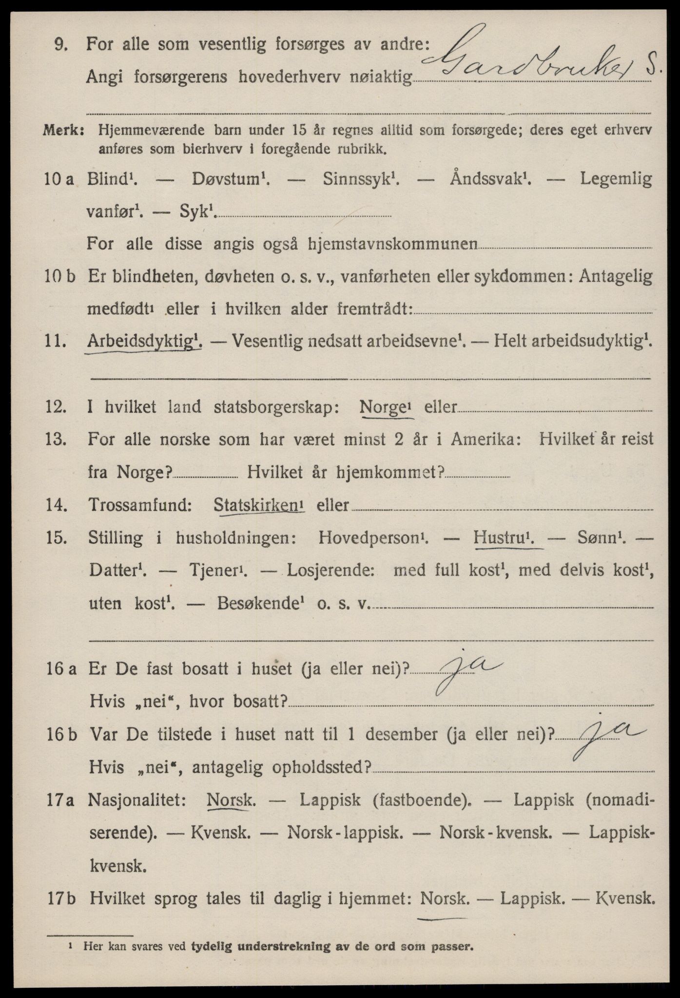 SAT, 1920 census for Selbu, 1920, p. 6499