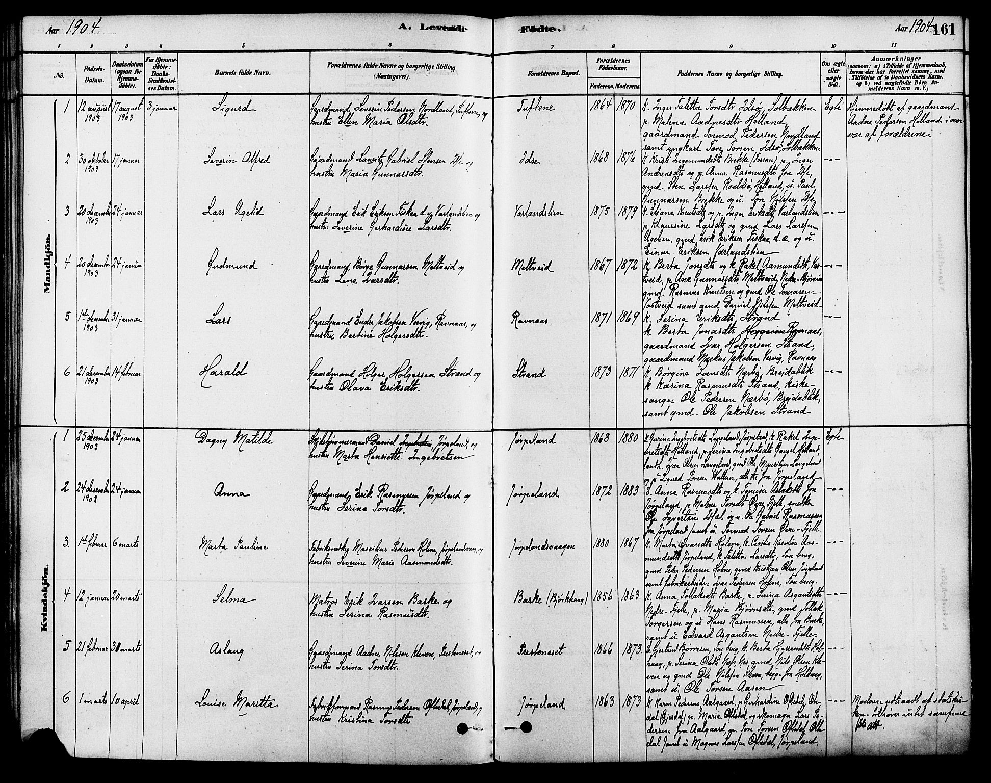 Strand sokneprestkontor, SAST/A-101828/H/Ha/Haa/L0009: Parish register (official) no. A 9, 1877-1908, p. 161