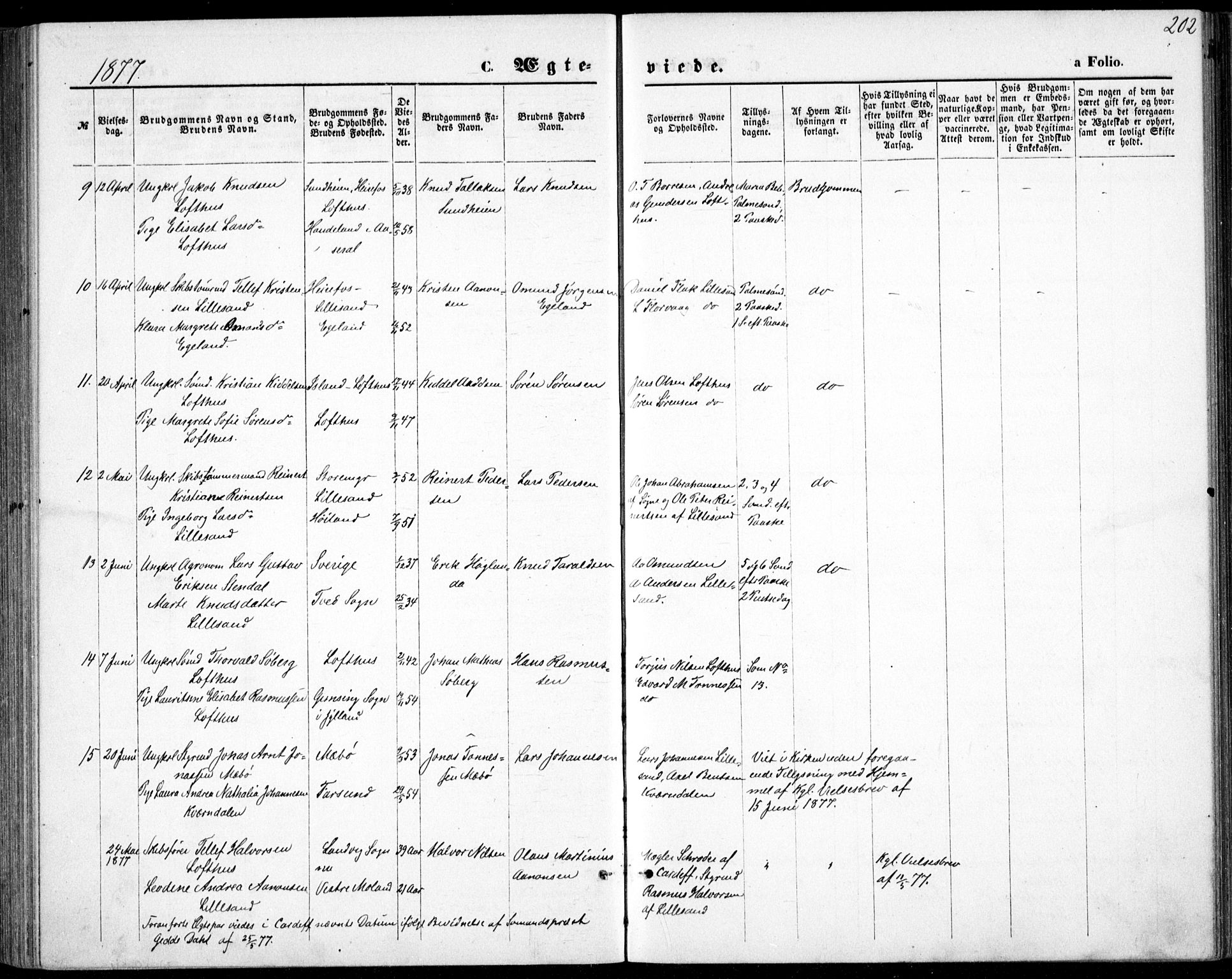 Vestre Moland sokneprestkontor, AV/SAK-1111-0046/F/Fb/Fbb/L0005: Parish register (copy) no. B 5, 1872-1883, p. 202