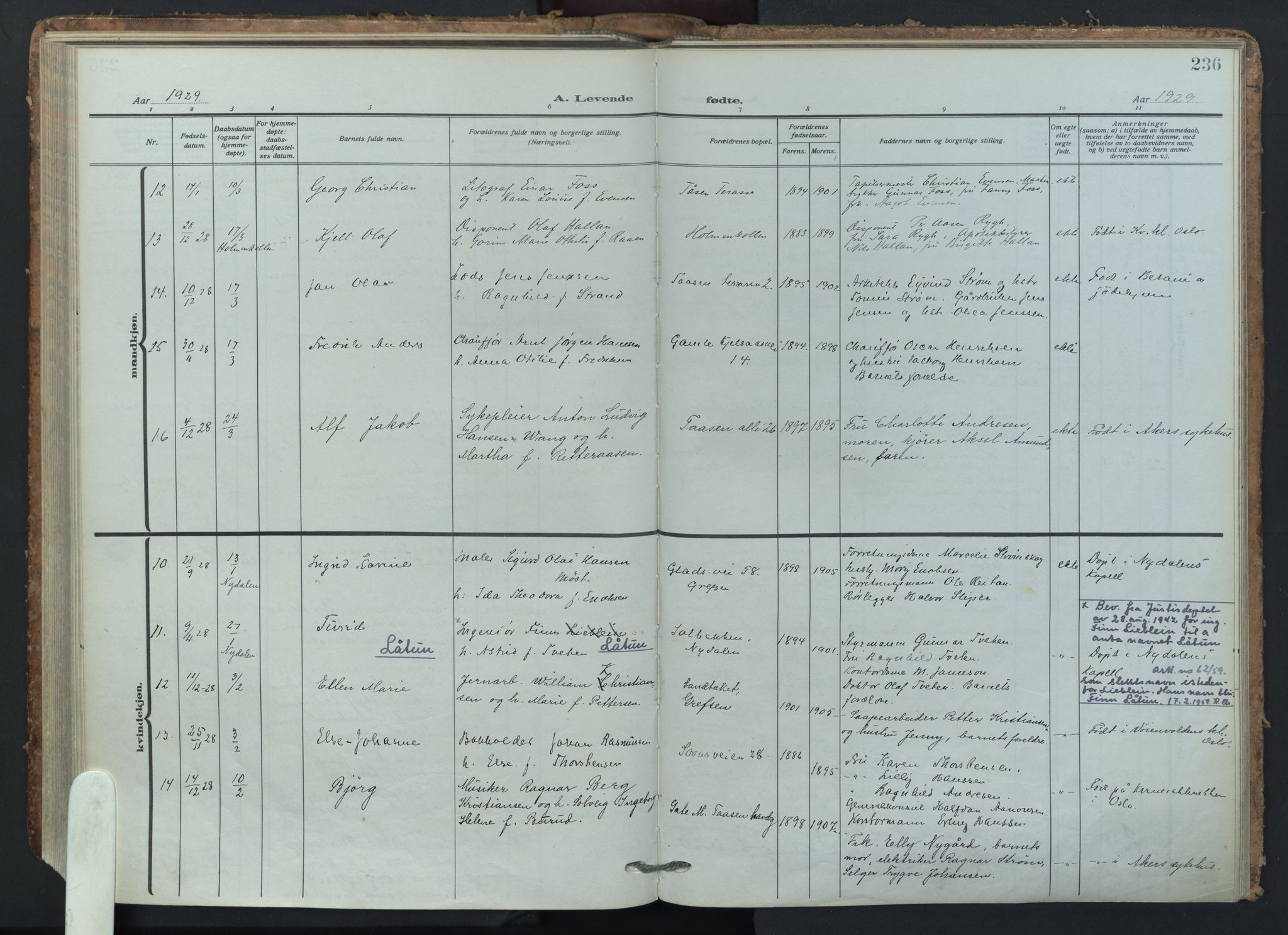 Vestre Aker prestekontor Kirkebøker, AV/SAO-A-10025/F/Fa/L0018: Parish register (official) no. 18, 1921-1931, p. 236