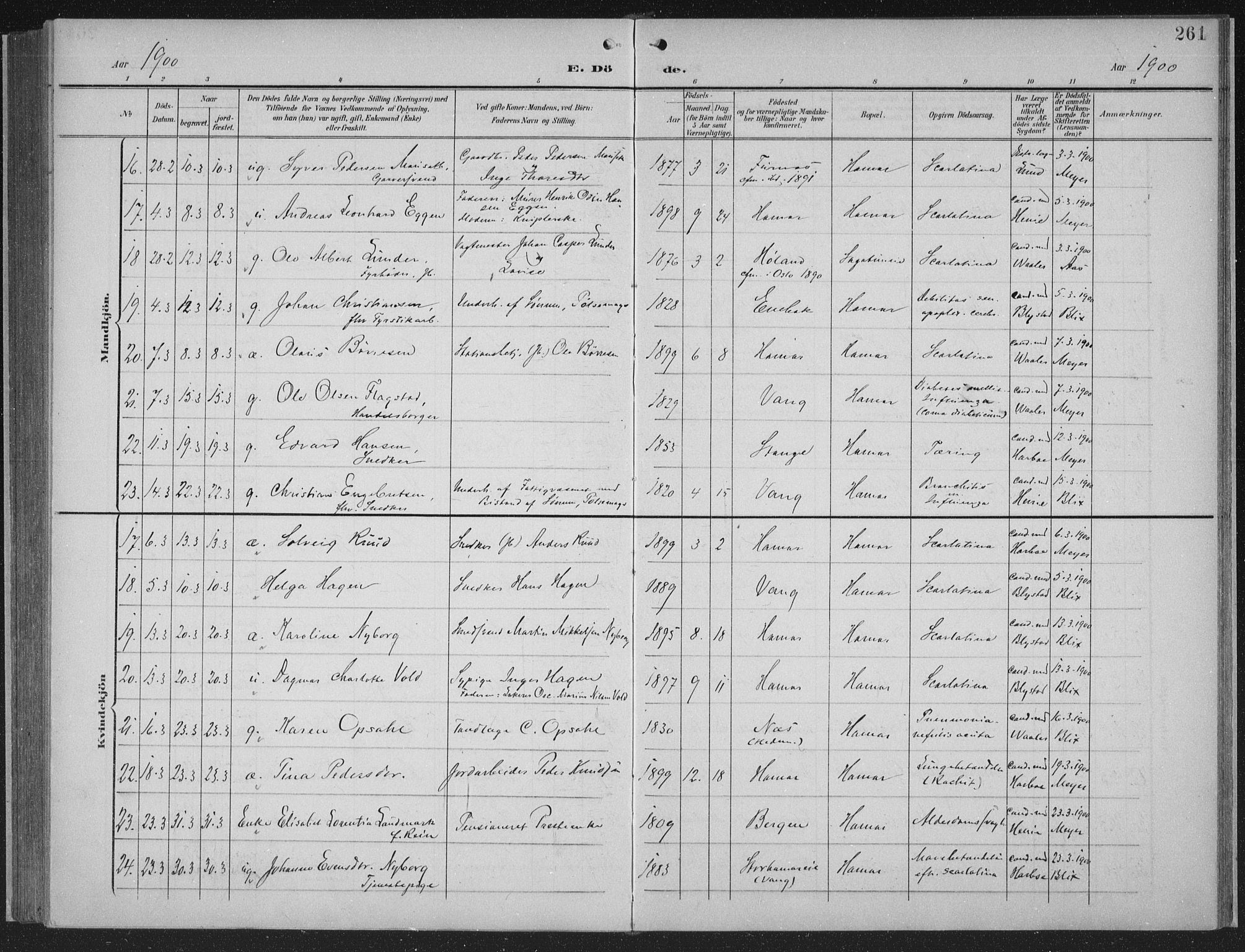 Hamar prestekontor, AV/SAH-DOMPH-002/H/Ha/Haa/L0001: Parish register (official) no. 1, 1900-1914, p. 261