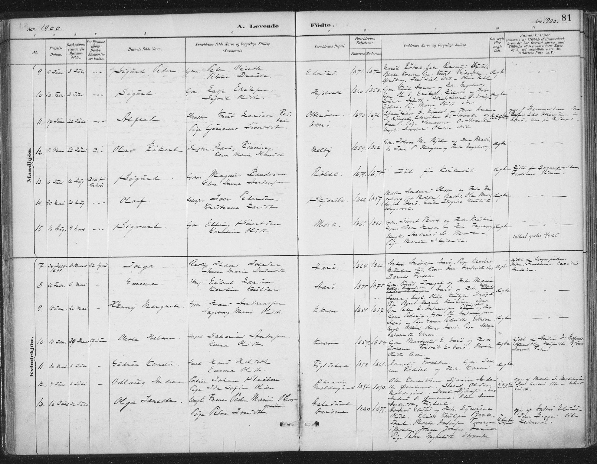 Ministerialprotokoller, klokkerbøker og fødselsregistre - Møre og Romsdal, AV/SAT-A-1454/555/L0658: Parish register (official) no. 555A09, 1887-1917, p. 81