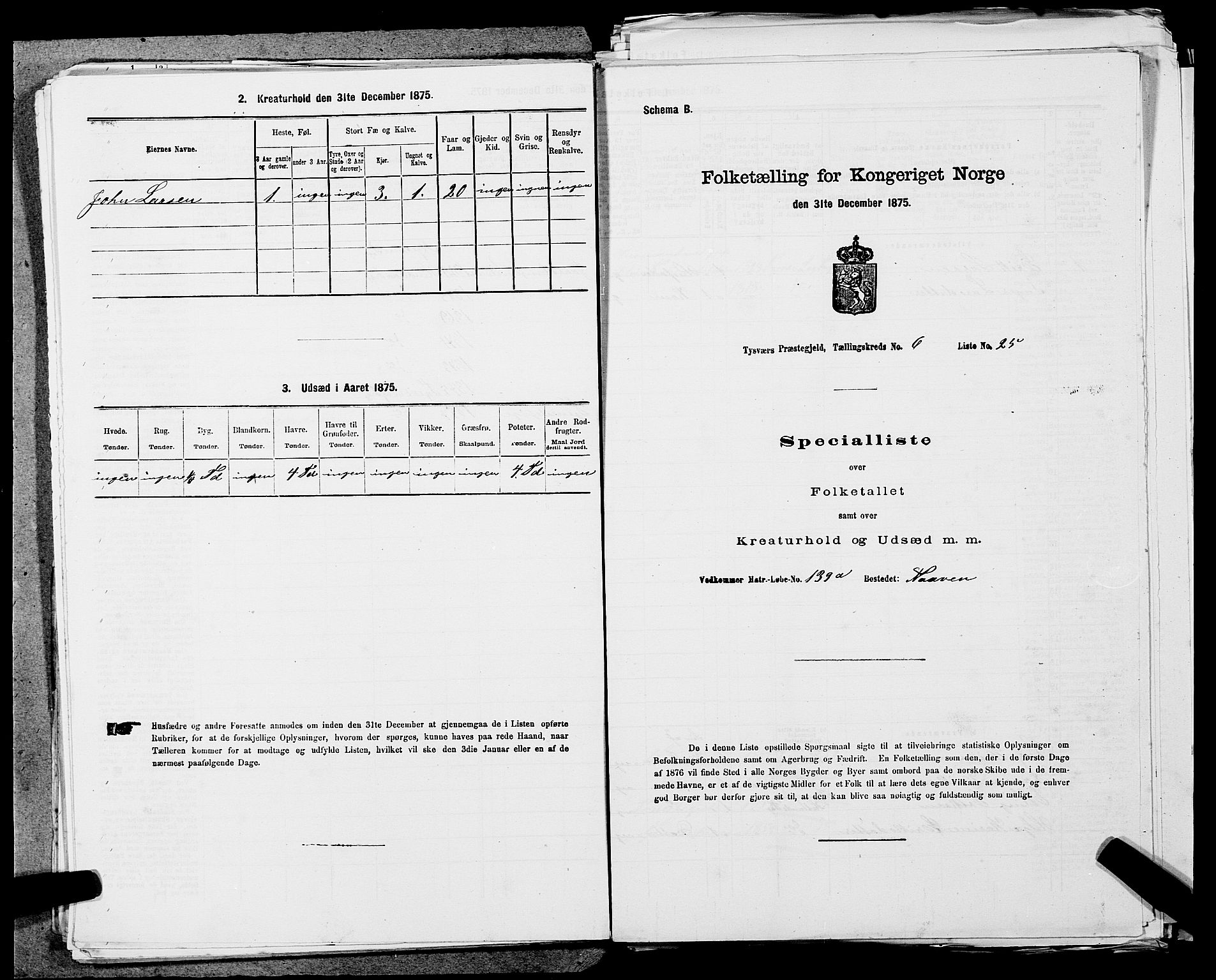 SAST, 1875 census for 1146P Tysvær, 1875, p. 700