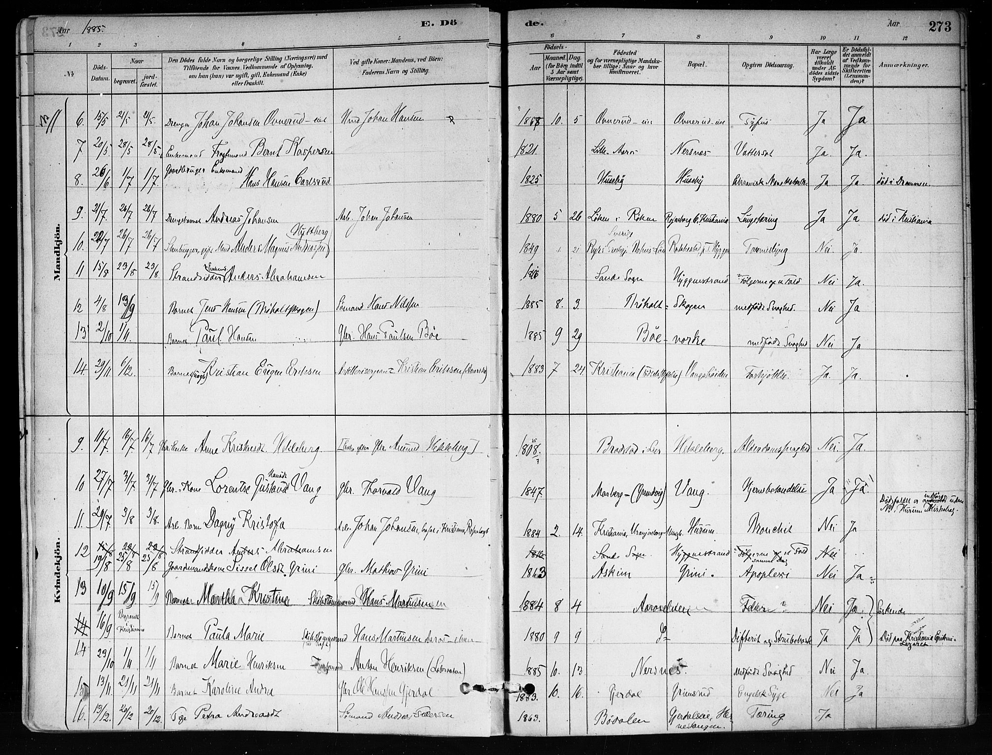 Røyken kirkebøker, SAKO/A-241/F/Fa/L0008: Parish register (official) no. 8, 1880-1897, p. 273