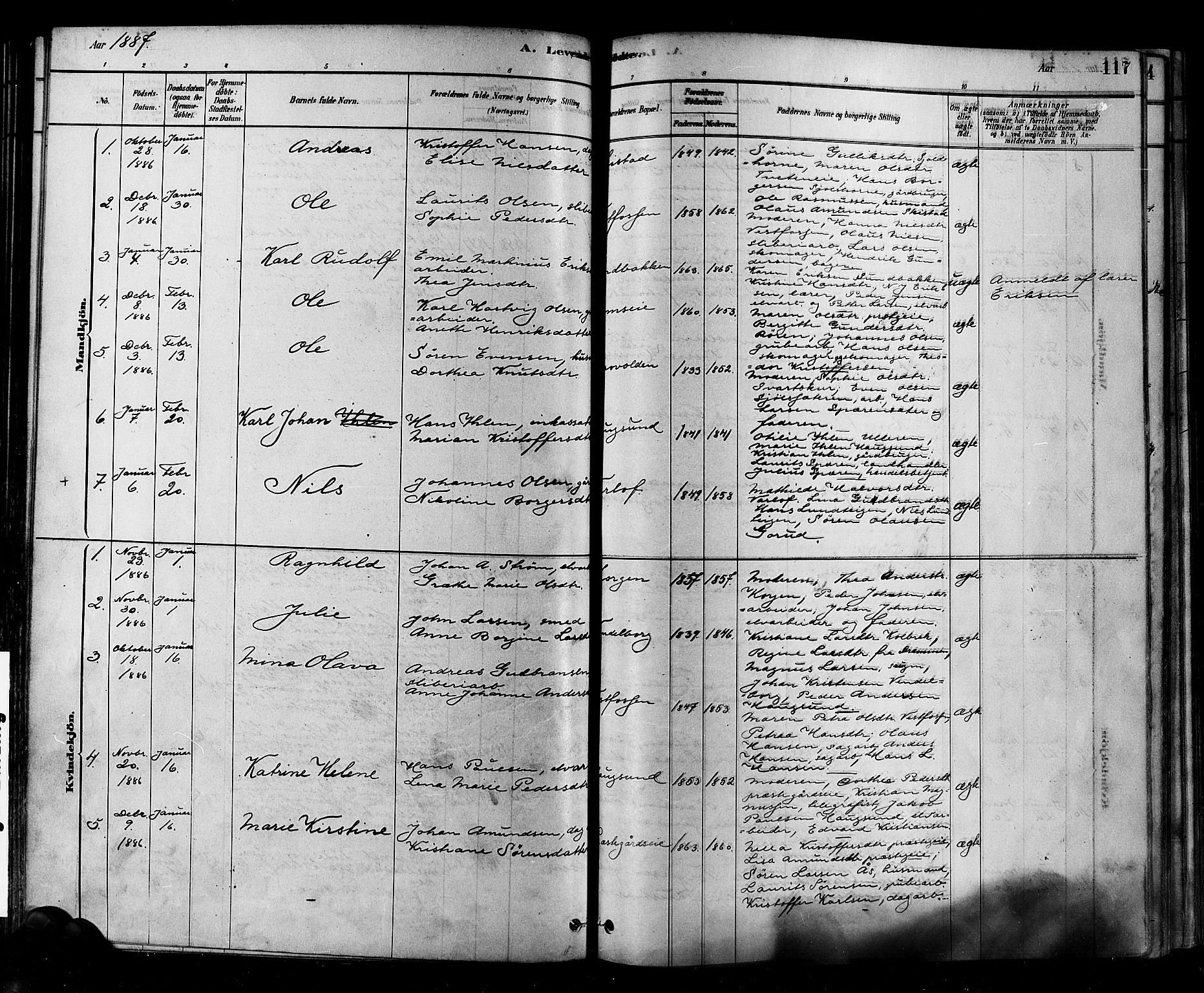 Eiker kirkebøker, SAKO/A-4/F/Fb/L0001: Parish register (official) no. II 1, 1878-1888, p. 117