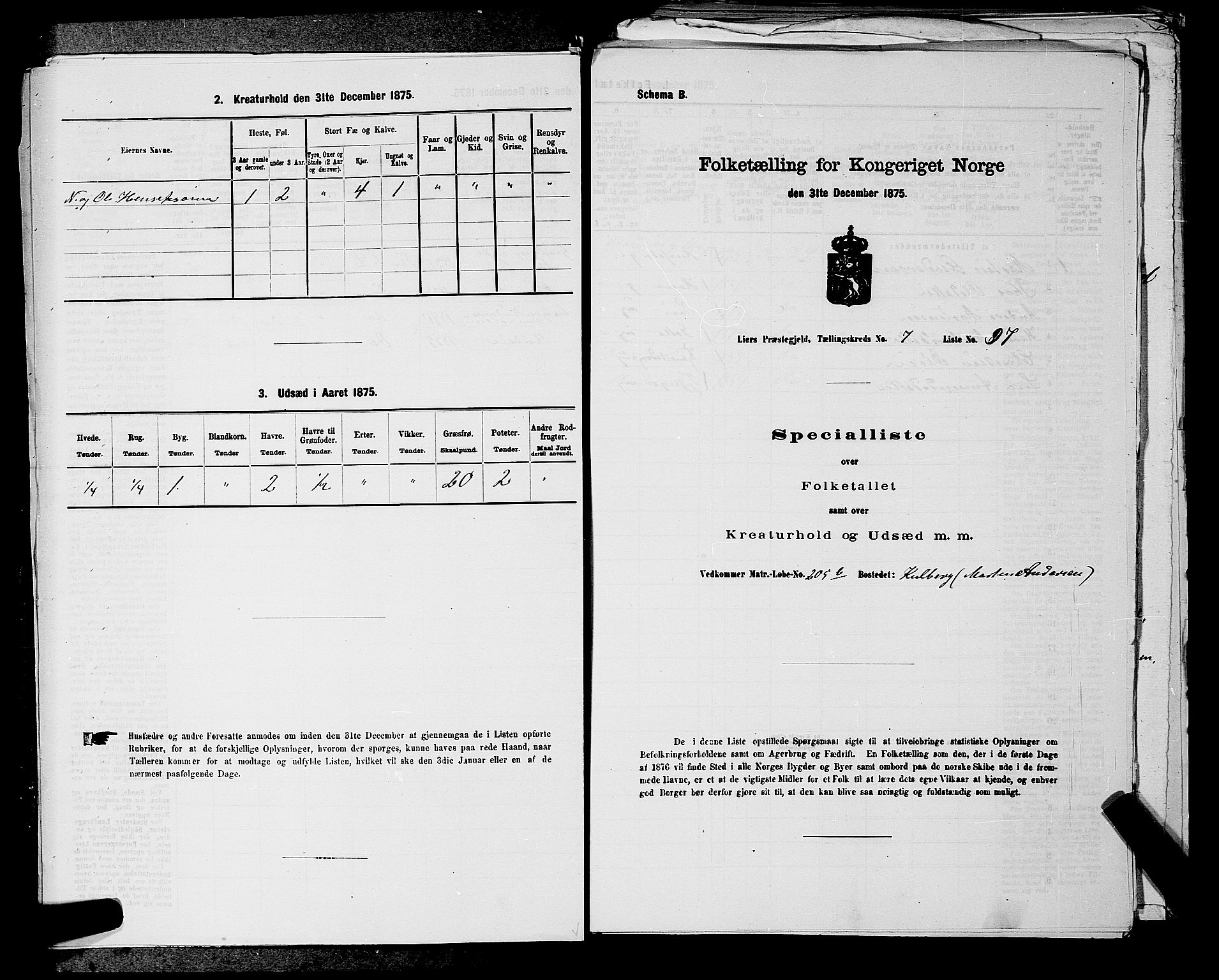 SAKO, 1875 census for 0626P Lier, 1875, p. 1295