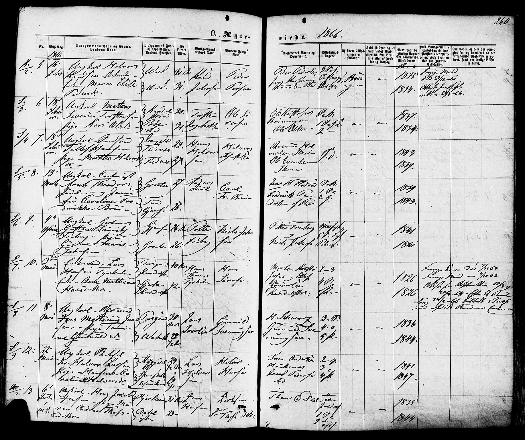 Solum kirkebøker, SAKO/A-306/F/Fa/L0008: Parish register (official) no. I 8, 1865-1876, p. 260