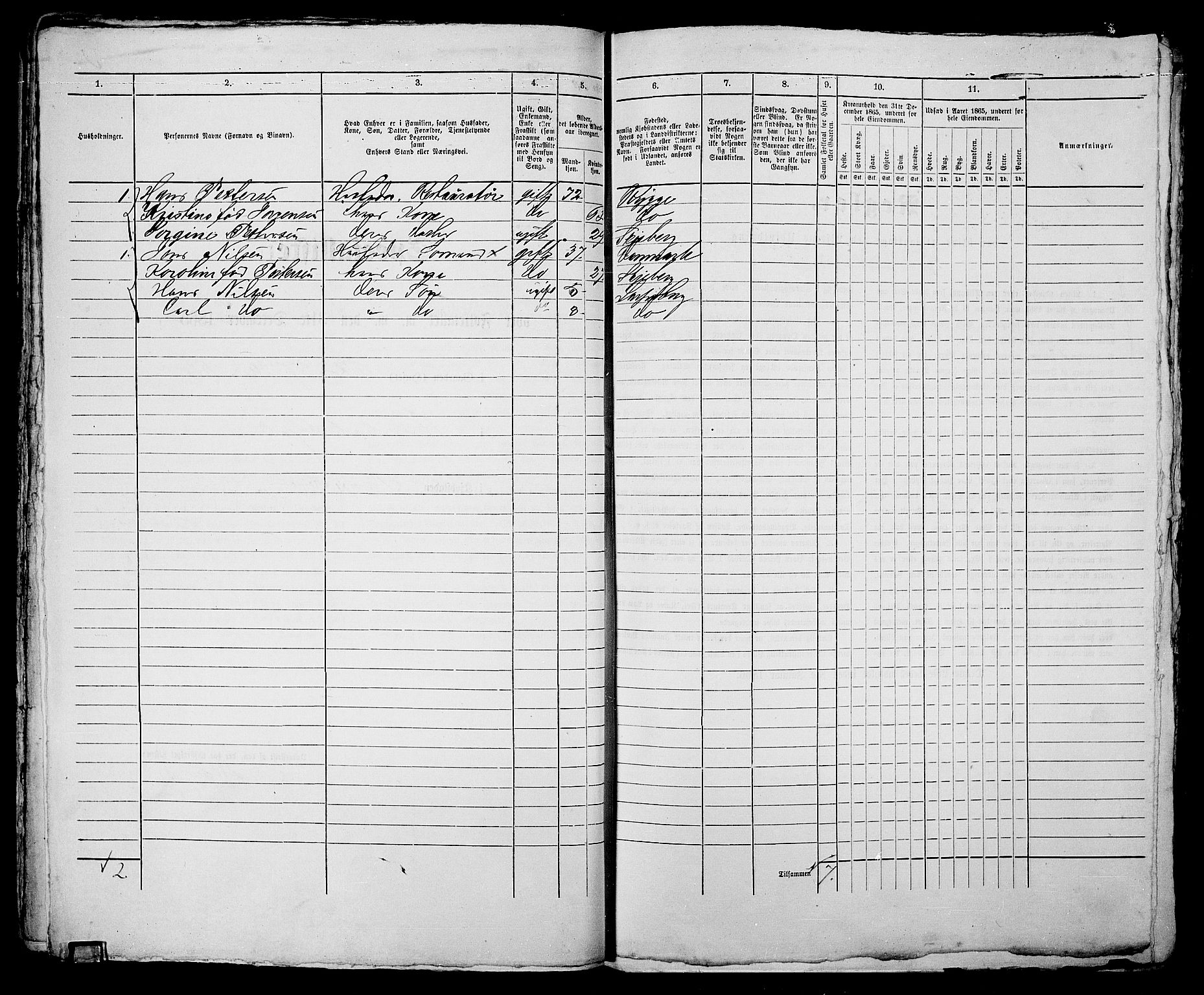 RA, 1865 census for Sarpsborg, 1865, p. 113