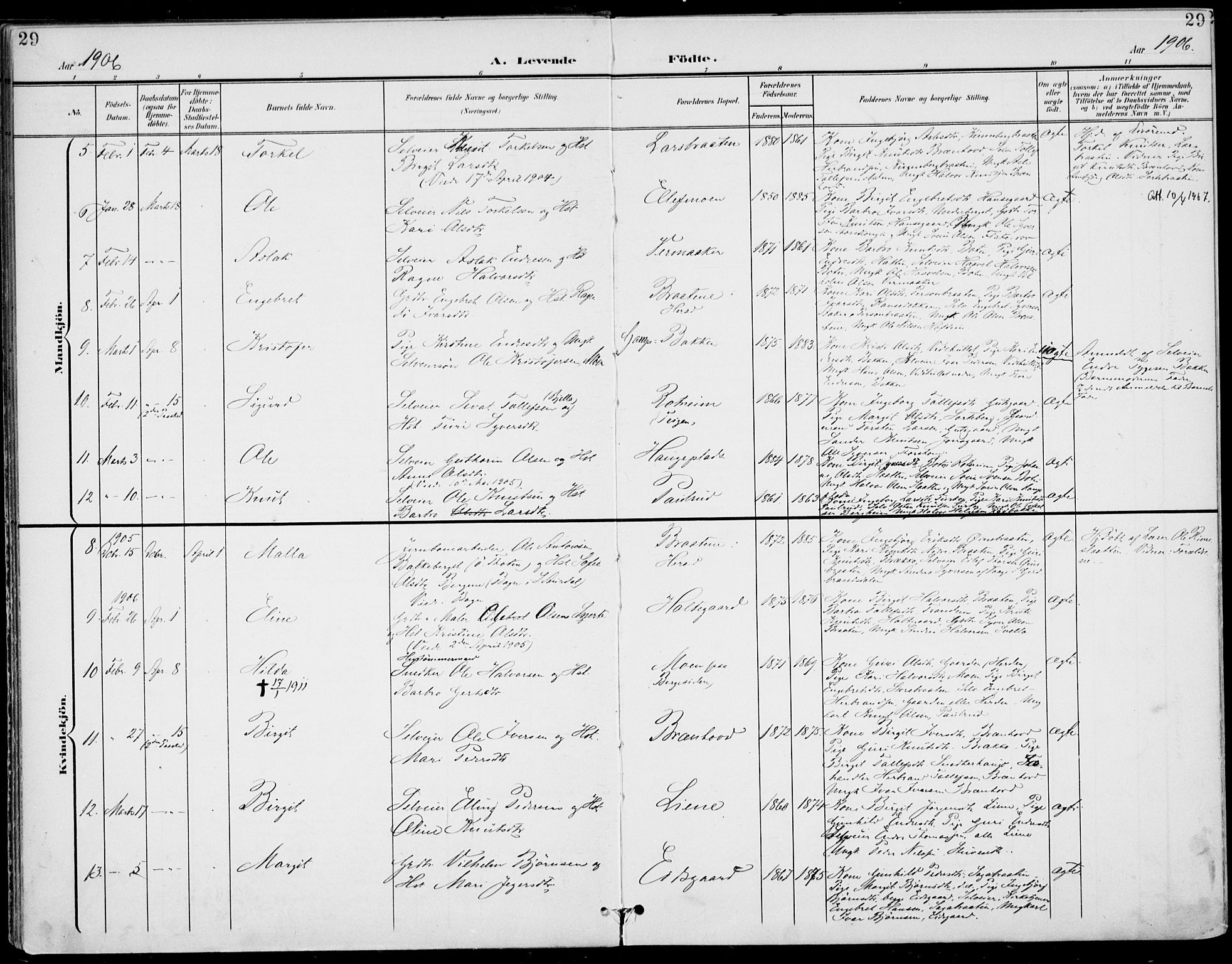 Gol kirkebøker, SAKO/A-226/F/Fa/L0006: Parish register (official) no. I 6, 1901-1918, p. 29