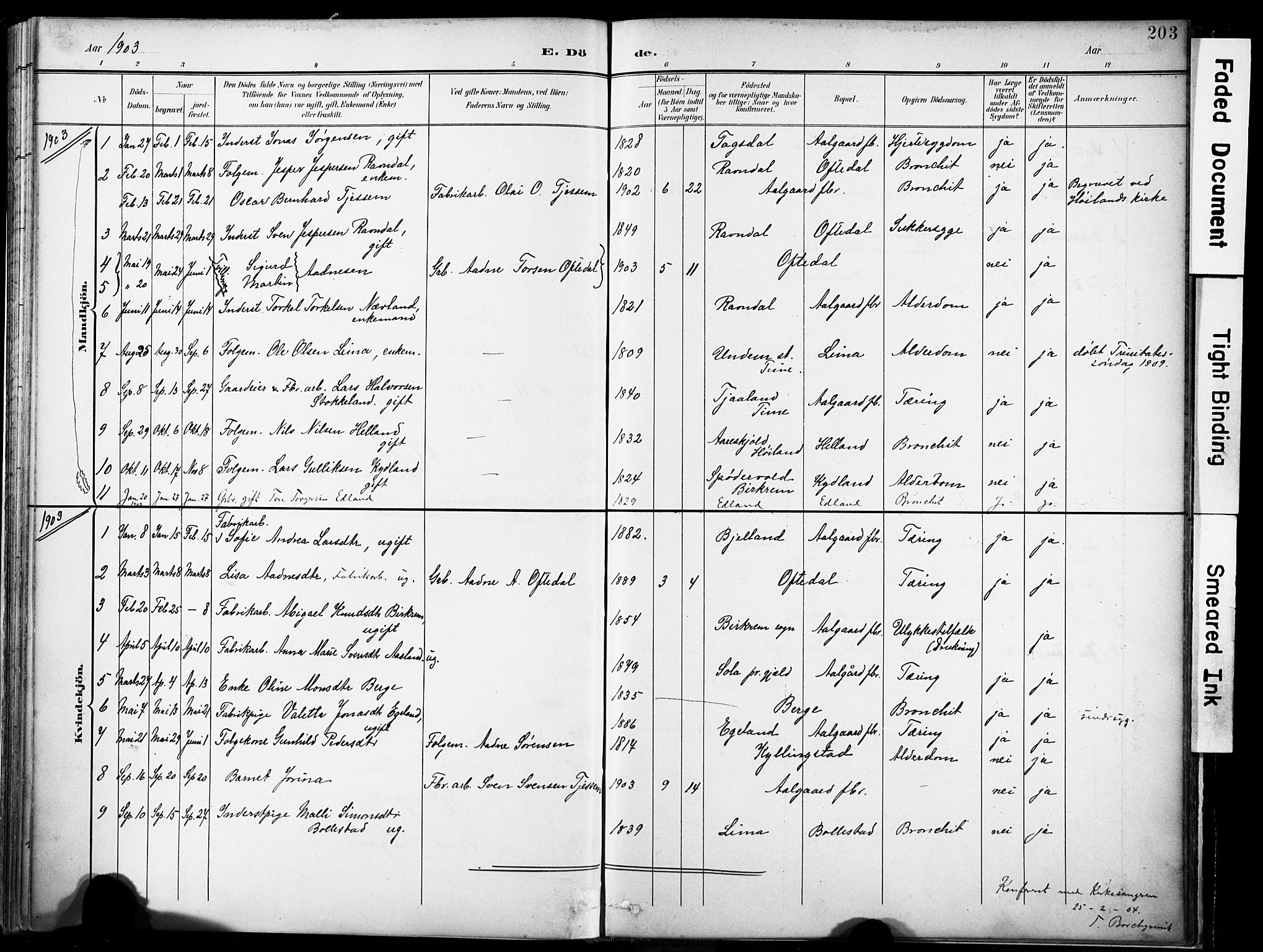 Lye sokneprestkontor, SAST/A-101794/001/30BA/L0012: Parish register (official) no. A 11, 1896-1909, p. 203