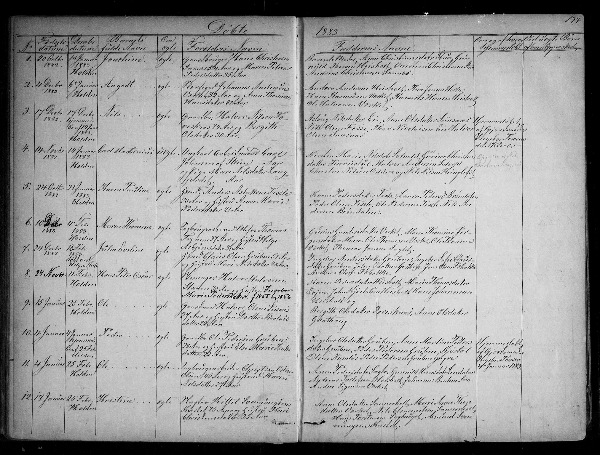 Holla kirkebøker, SAKO/A-272/G/Ga/L0004: Parish register (copy) no. I 4, 1867-1890, p. 134