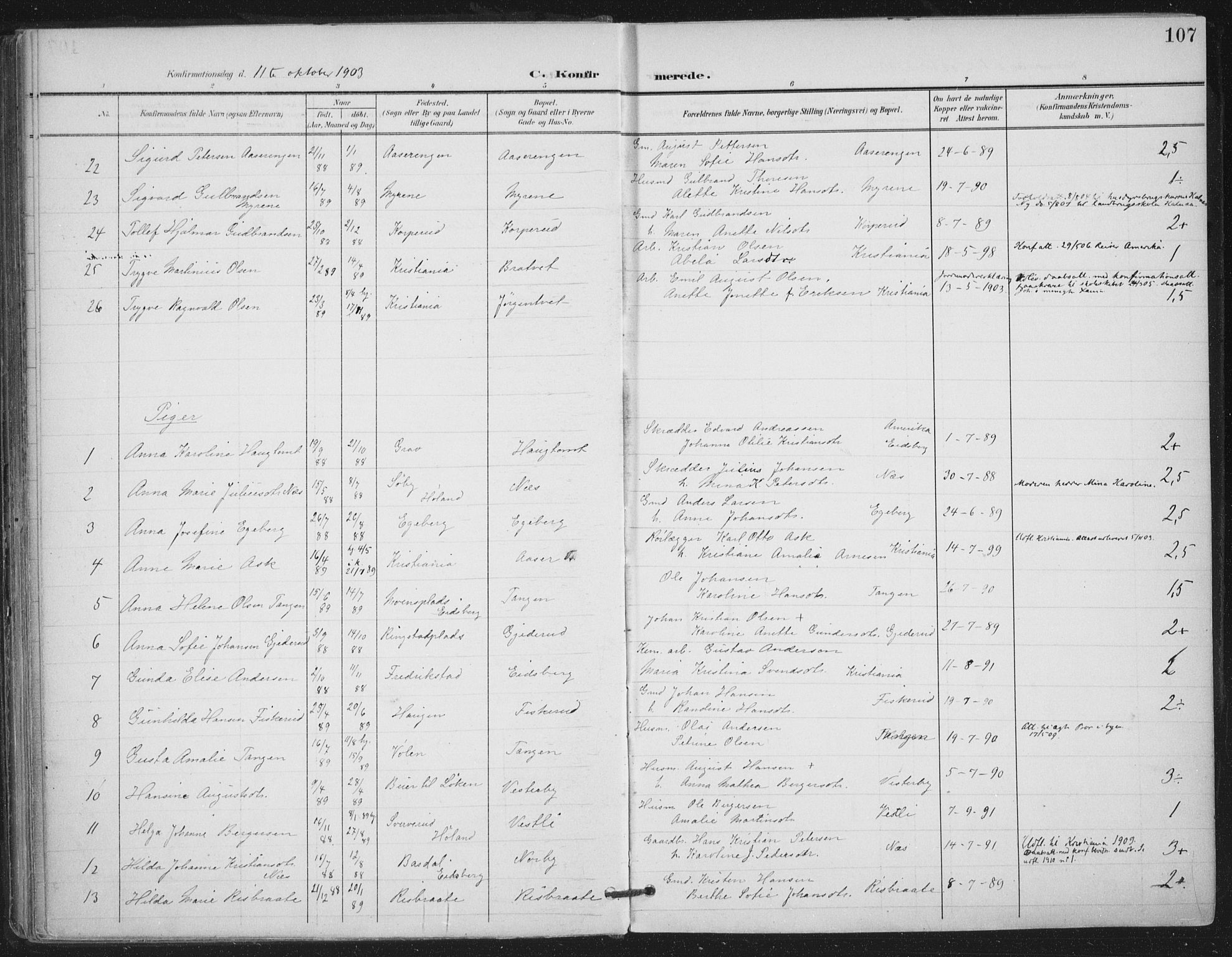 Trøgstad prestekontor Kirkebøker, SAO/A-10925/F/Fa/L0011: Parish register (official) no. I 11, 1899-1919, p. 107