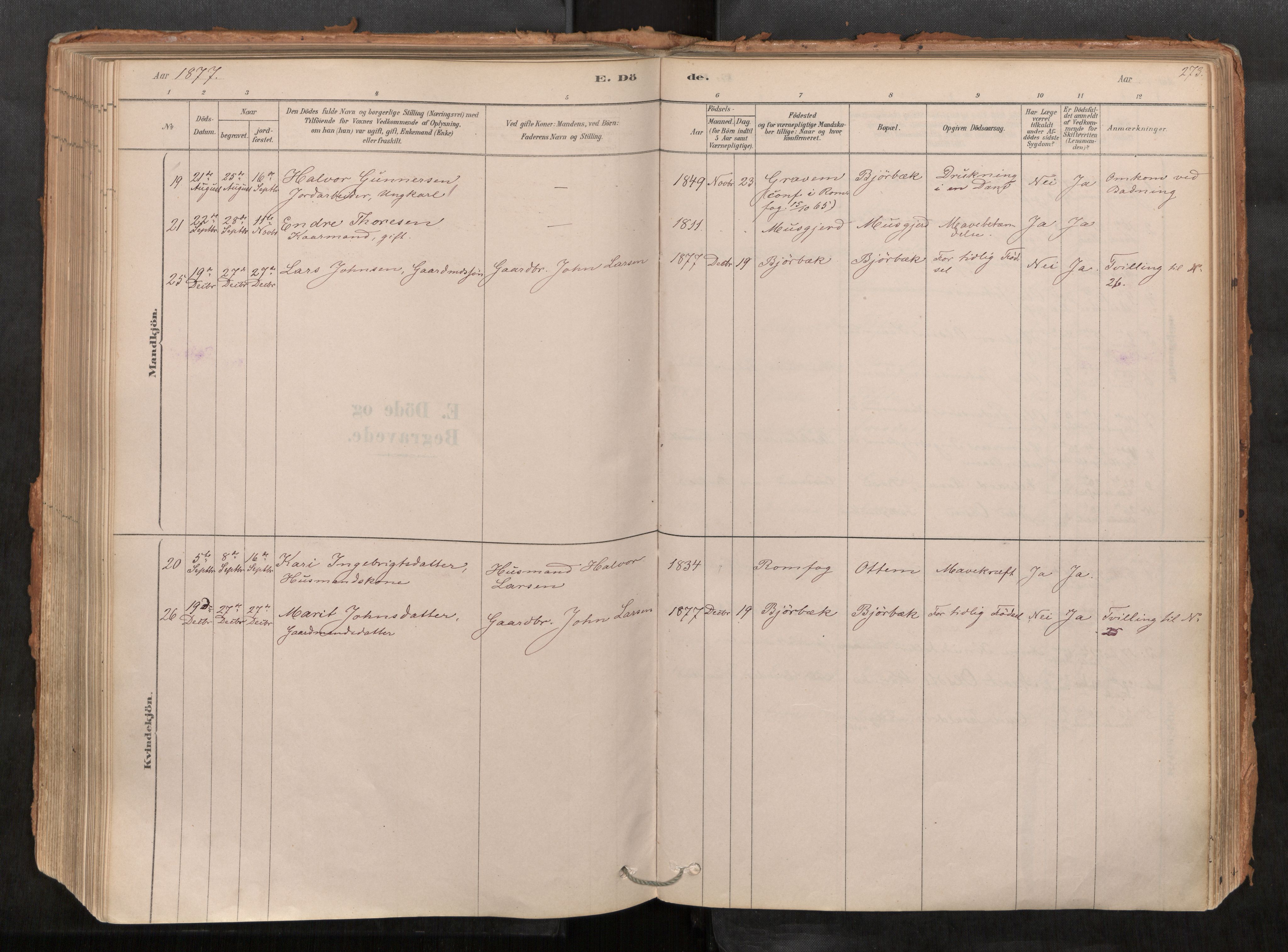 Sunndal sokneprestkontor, AV/SAT-A-1085/1/I/I1/I1a/L0001: Parish register (official) no. 1, 1877-1914, p. 273