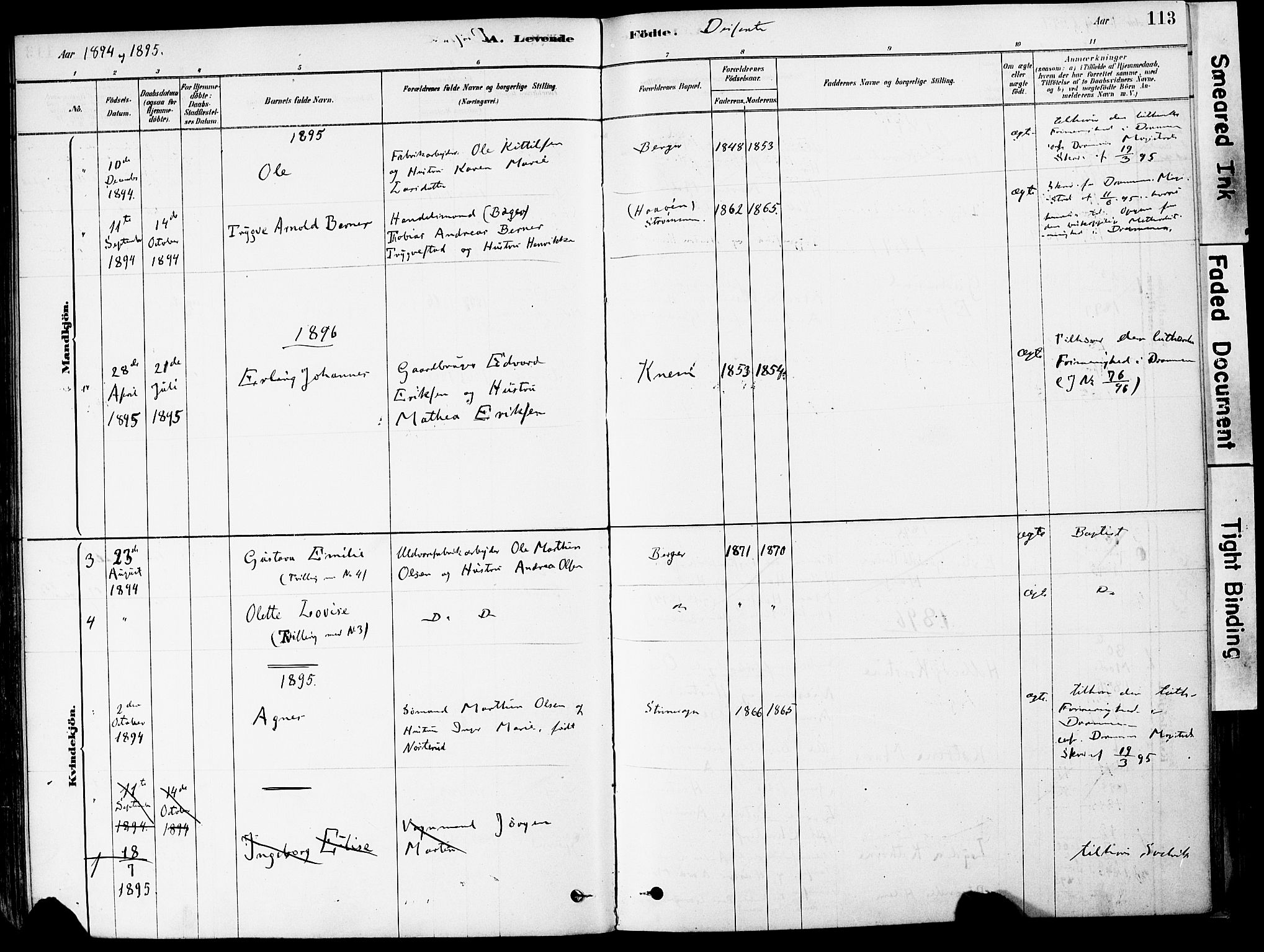 Strømm kirkebøker, AV/SAKO-A-322/F/Fa/L0004: Parish register (official) no. I 4, 1878-1899, p. 113