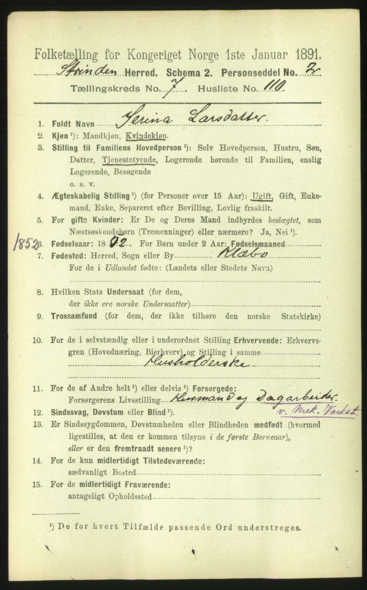 RA, 1891 census for 1660 Strinda, 1891, p. 6964