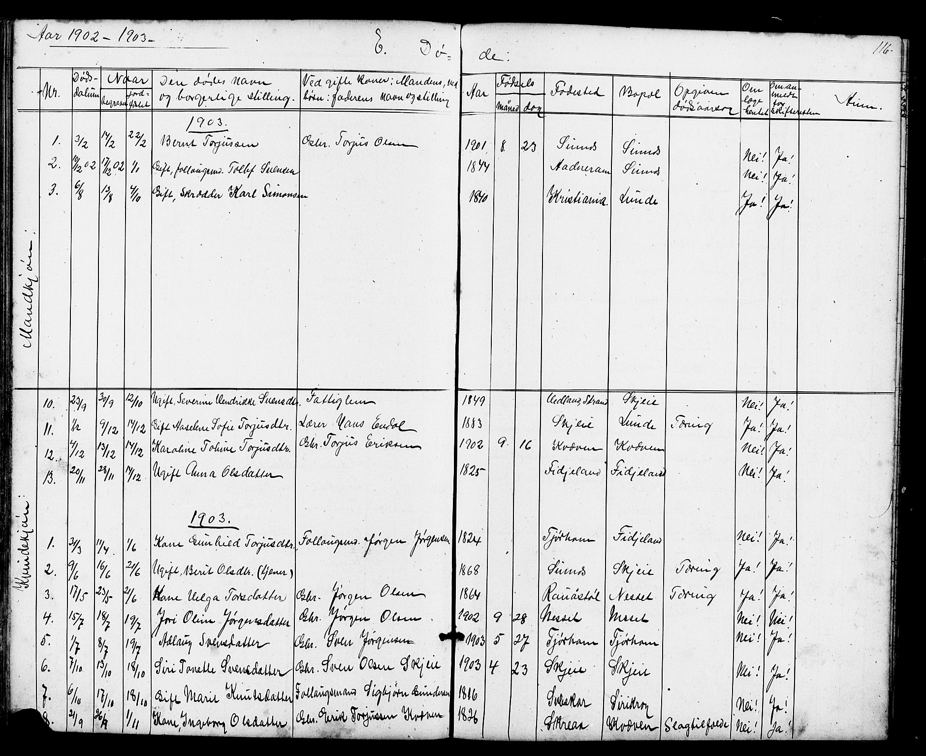 Sirdal sokneprestkontor, AV/SAK-1111-0036/F/Fb/Fba/L0001: Parish register (copy) no. B 1, 1872-1905, p. 116