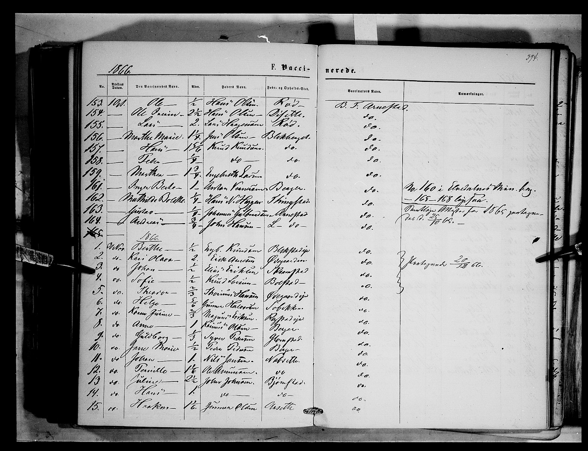 Åmot prestekontor, Hedmark, SAH/PREST-056/H/Ha/Haa/L0008: Parish register (official) no. 8, 1862-1875, p. 394