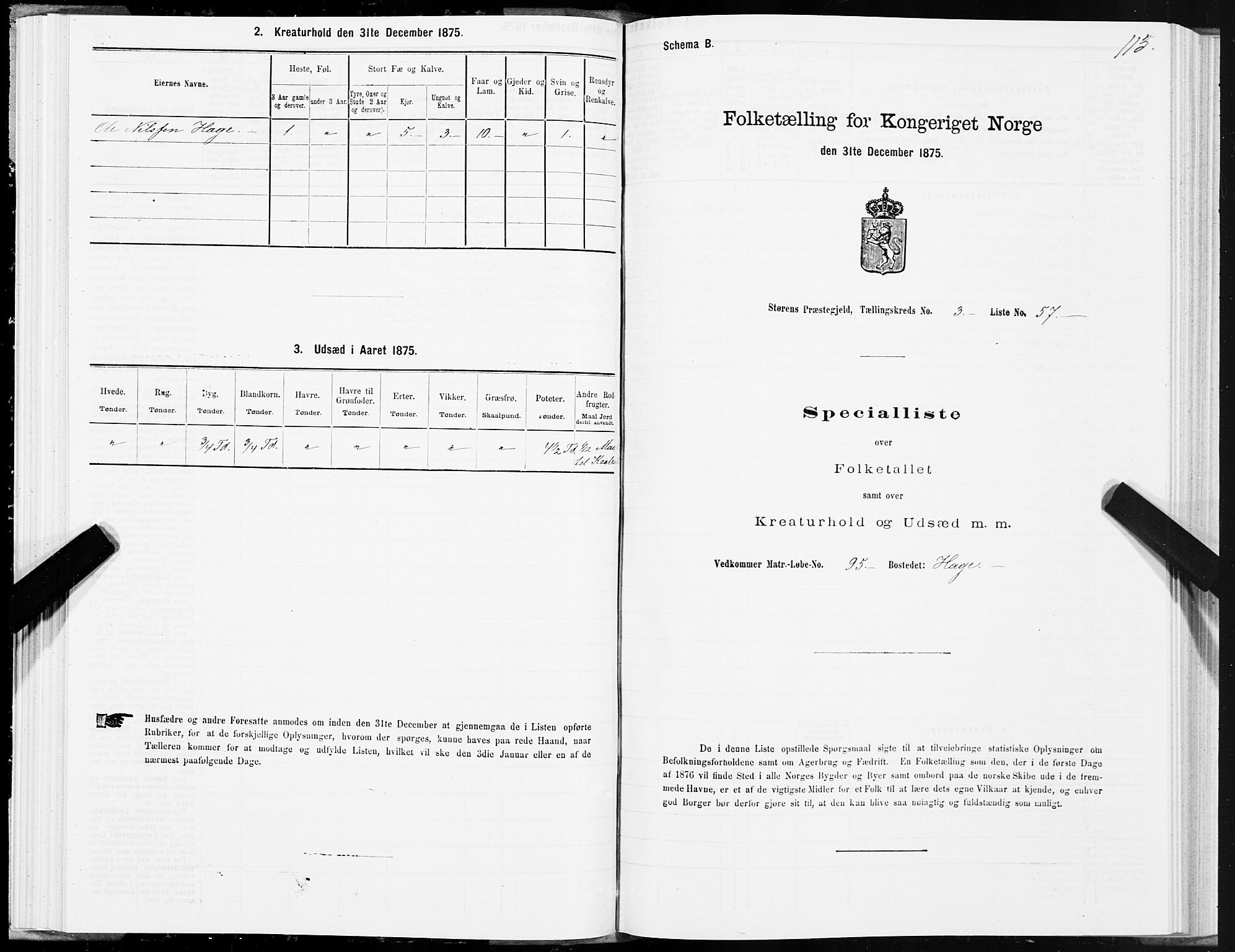 SAT, 1875 census for 1648P Støren, 1875, p. 8113