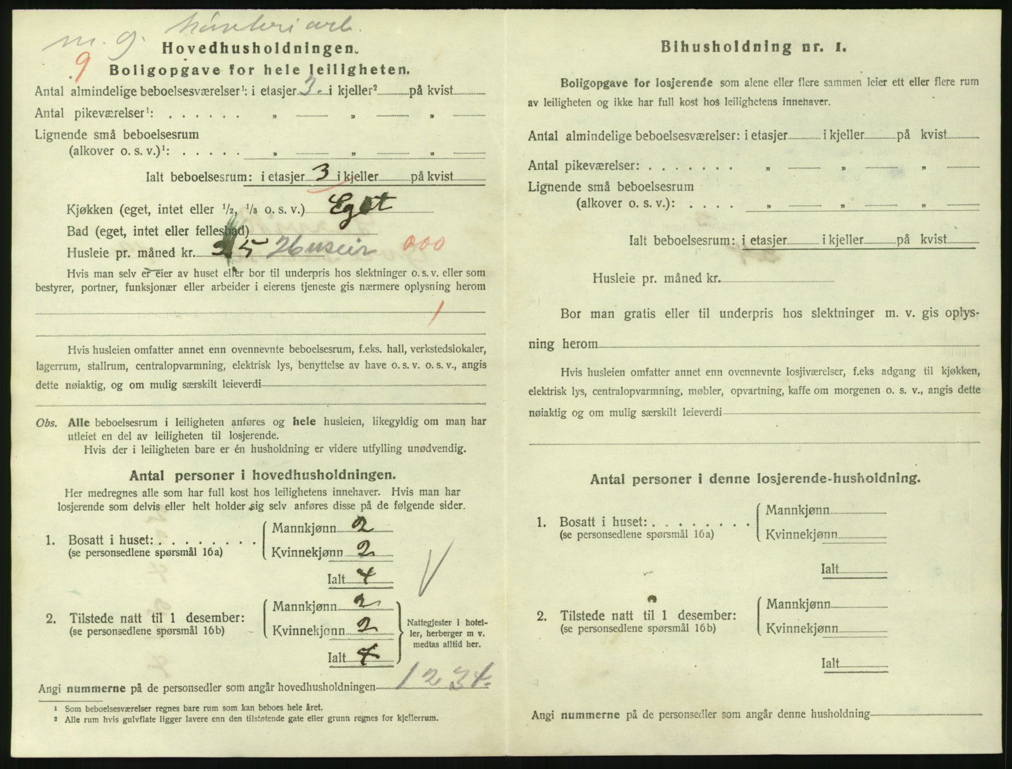 SAKO, 1920 census for Larvik, 1920, p. 3843