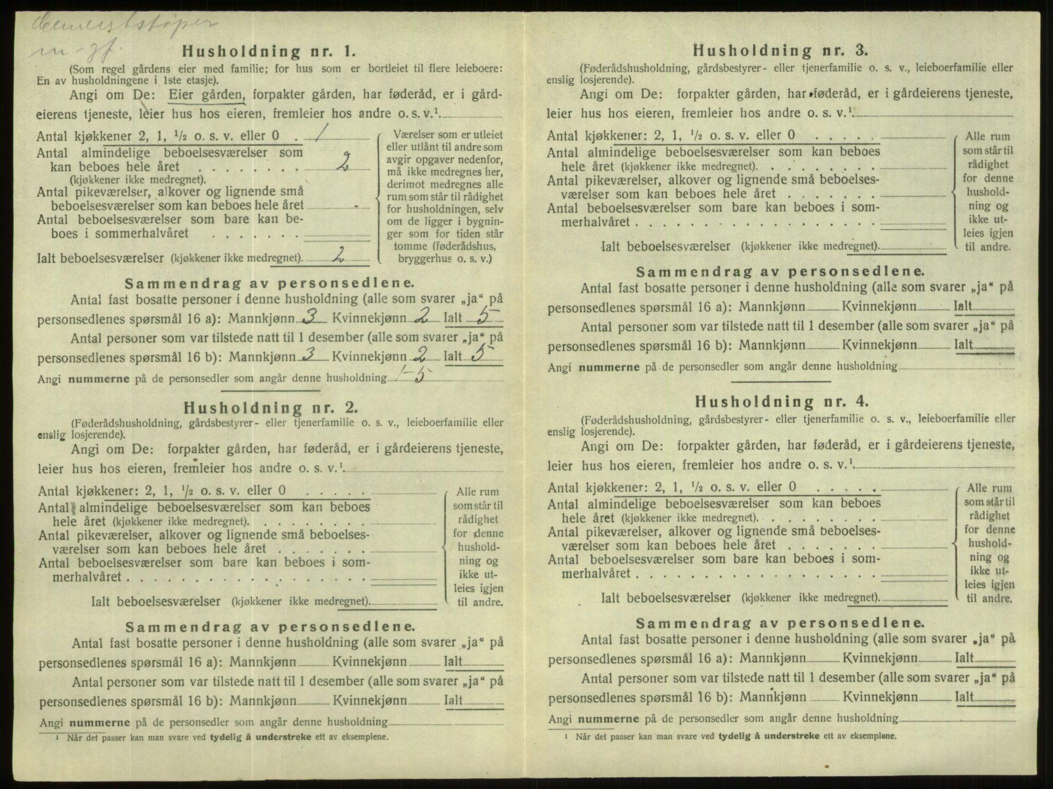 SAB, 1920 census for Hornindal, 1920, p. 494