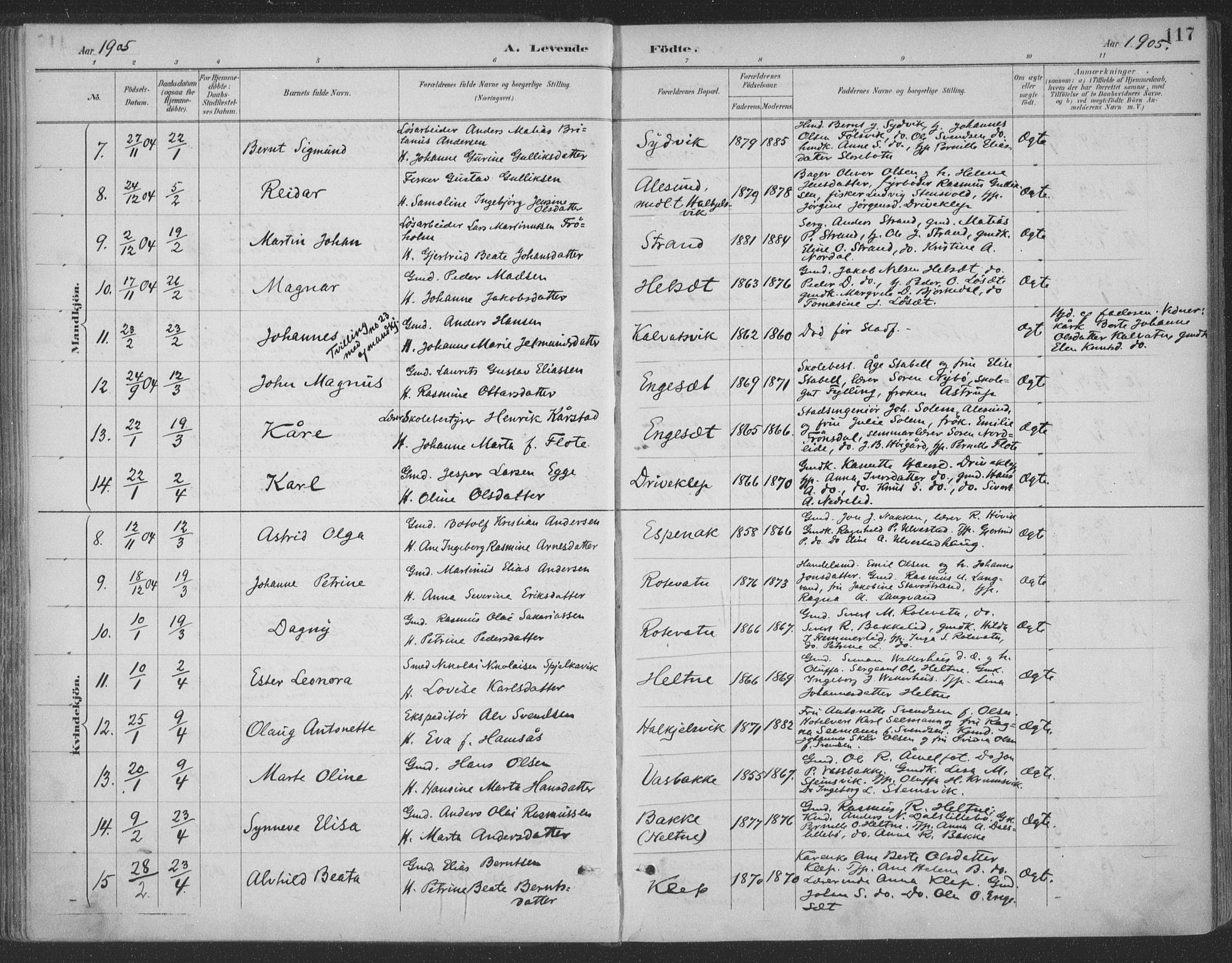 Ministerialprotokoller, klokkerbøker og fødselsregistre - Møre og Romsdal, AV/SAT-A-1454/511/L0142: Parish register (official) no. 511A09, 1891-1905, p. 117