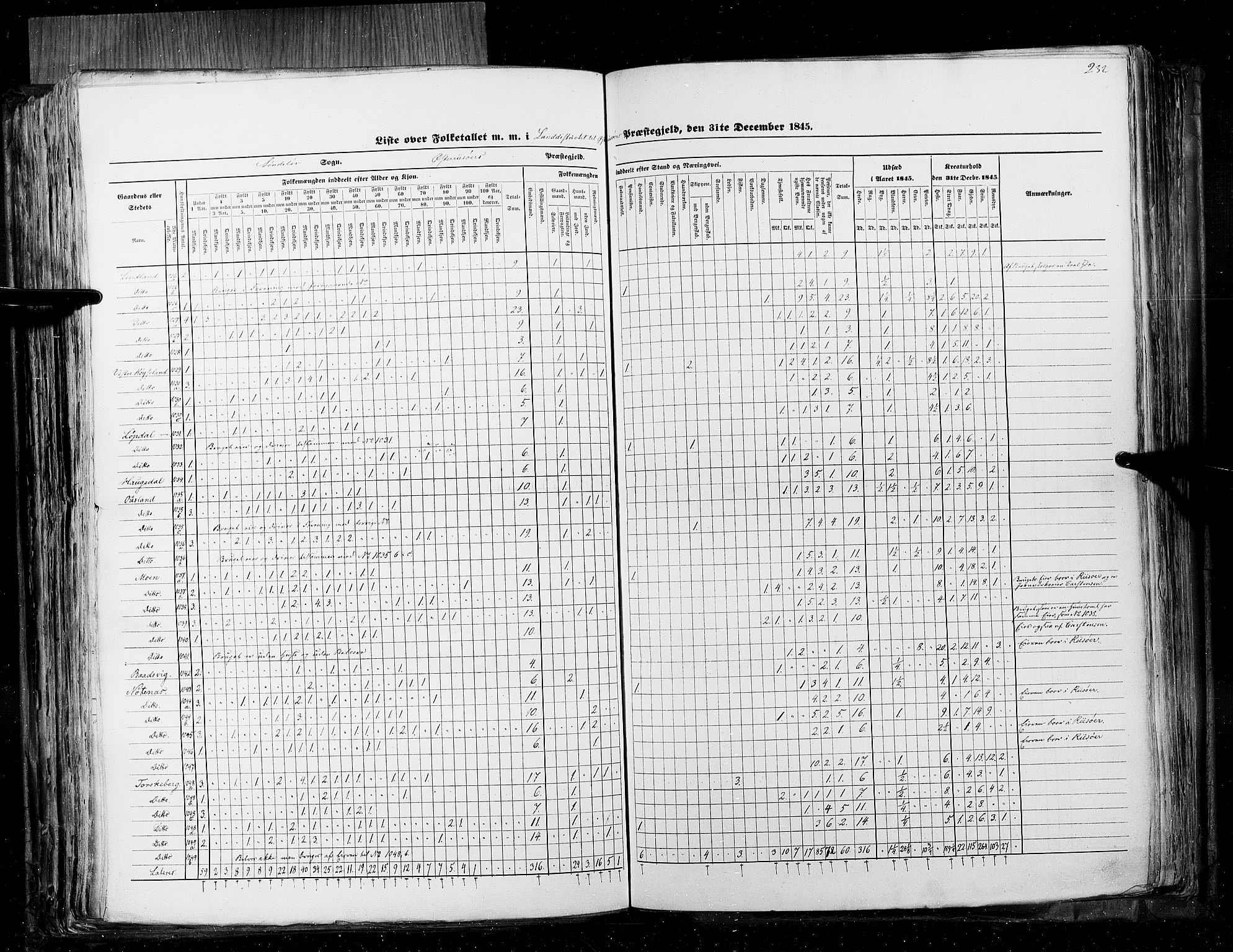 RA, Census 1845, vol. 5: Bratsberg amt og Nedenes og Råbyggelaget amt, 1845, p. 232