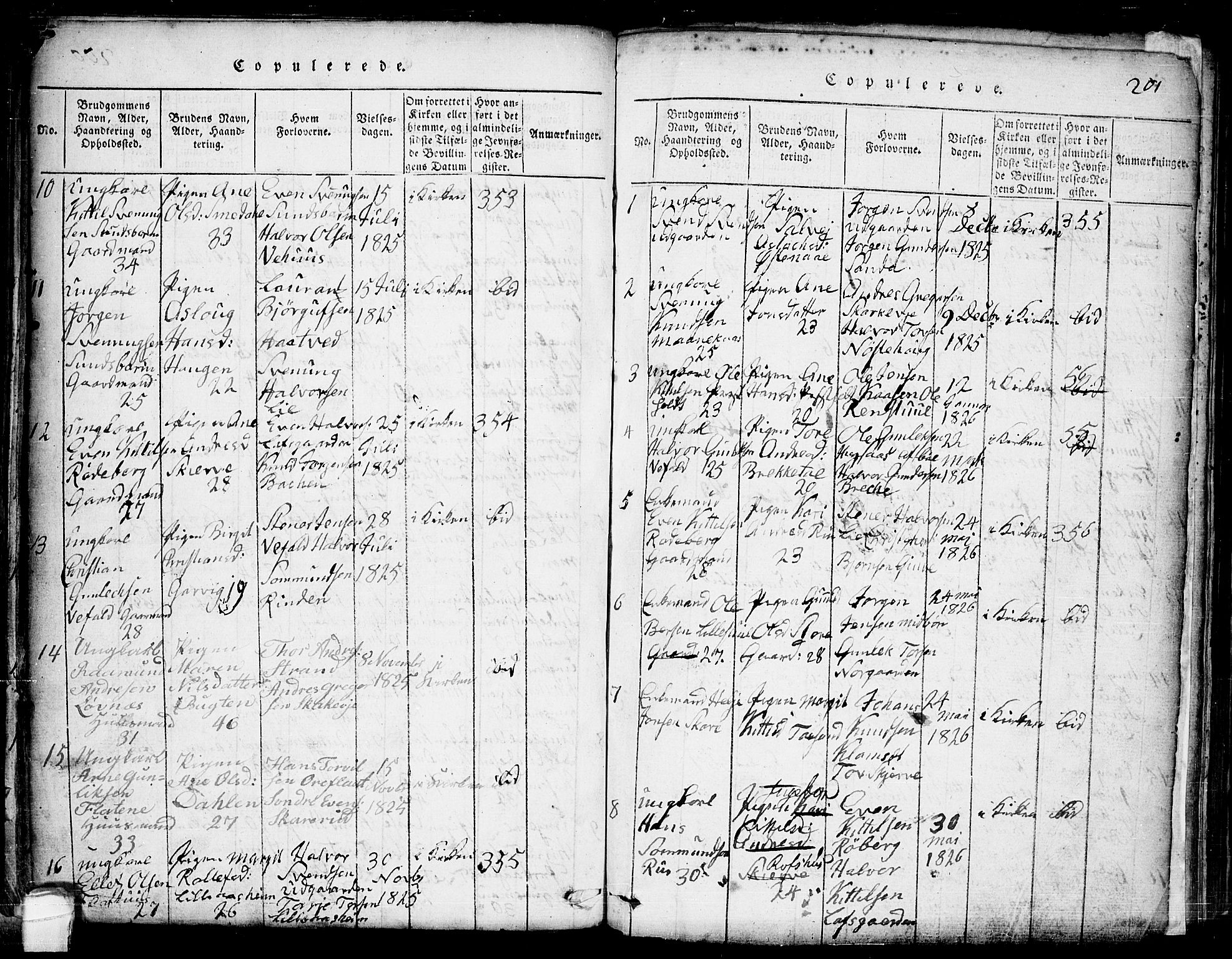 Seljord kirkebøker, AV/SAKO-A-20/G/Ga/L0001: Parish register (copy) no. I 1, 1815-1854, p. 201