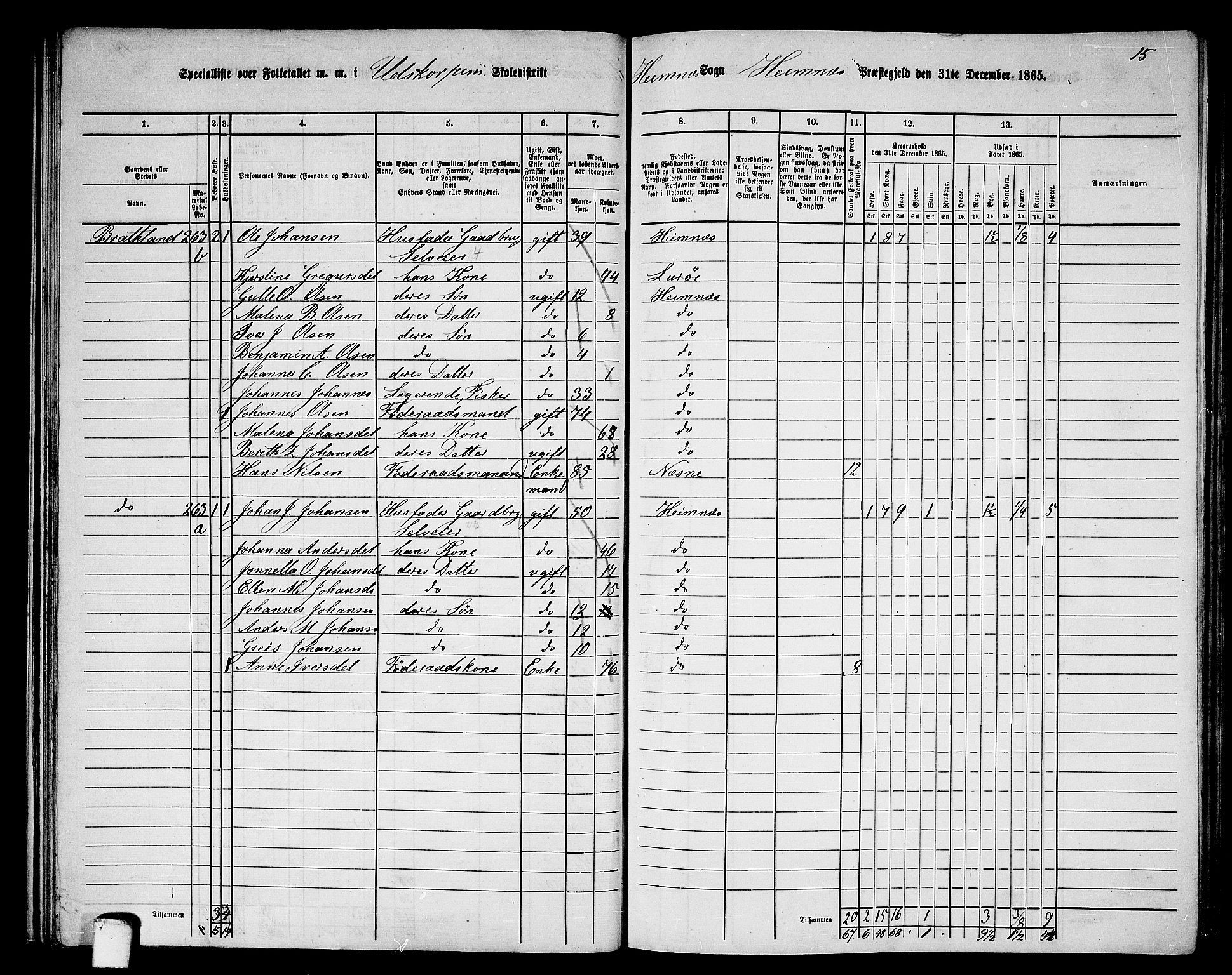 RA, 1865 census for Hemnes, 1865, p. 62