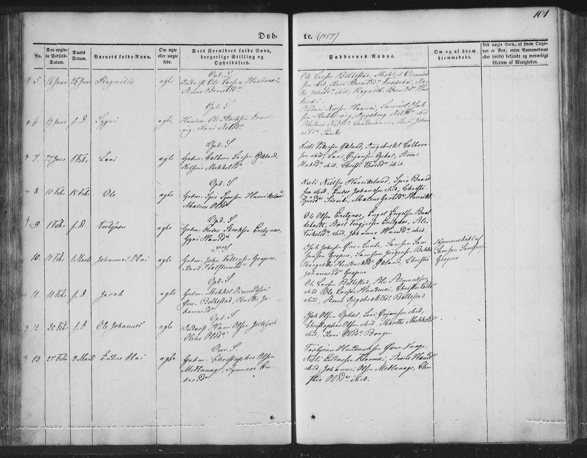 Tysnes sokneprestembete, SAB/A-78601/H/Haa: Parish register (official) no. A 10, 1848-1859, p. 101