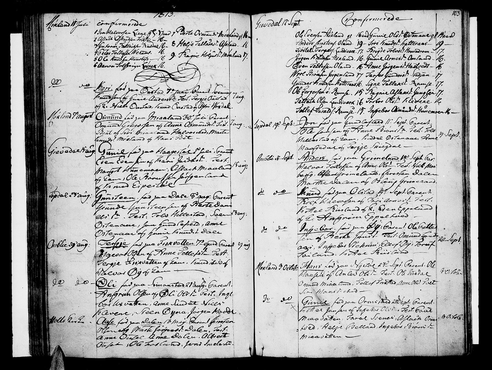 Åmli sokneprestkontor, SAK/1111-0050/F/Fa/Fac/L0005: Parish register (official) no. A 5, 1796-1816, p. 103