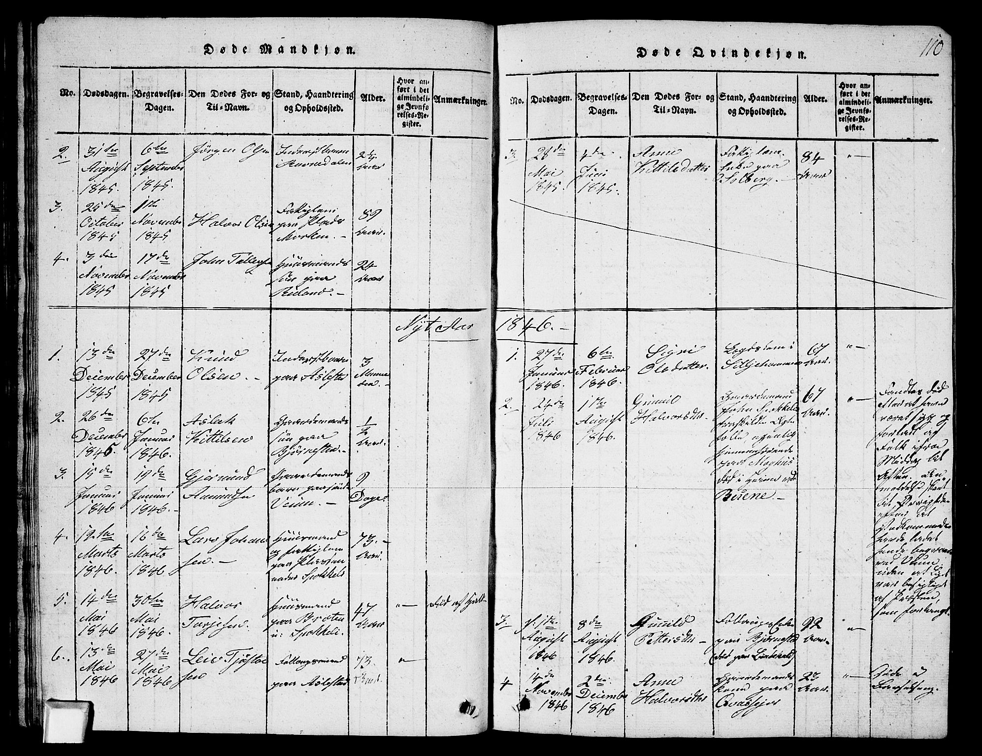 Fyresdal kirkebøker, SAKO/A-263/G/Ga/L0003: Parish register (copy) no. I 3, 1815-1863, p. 110