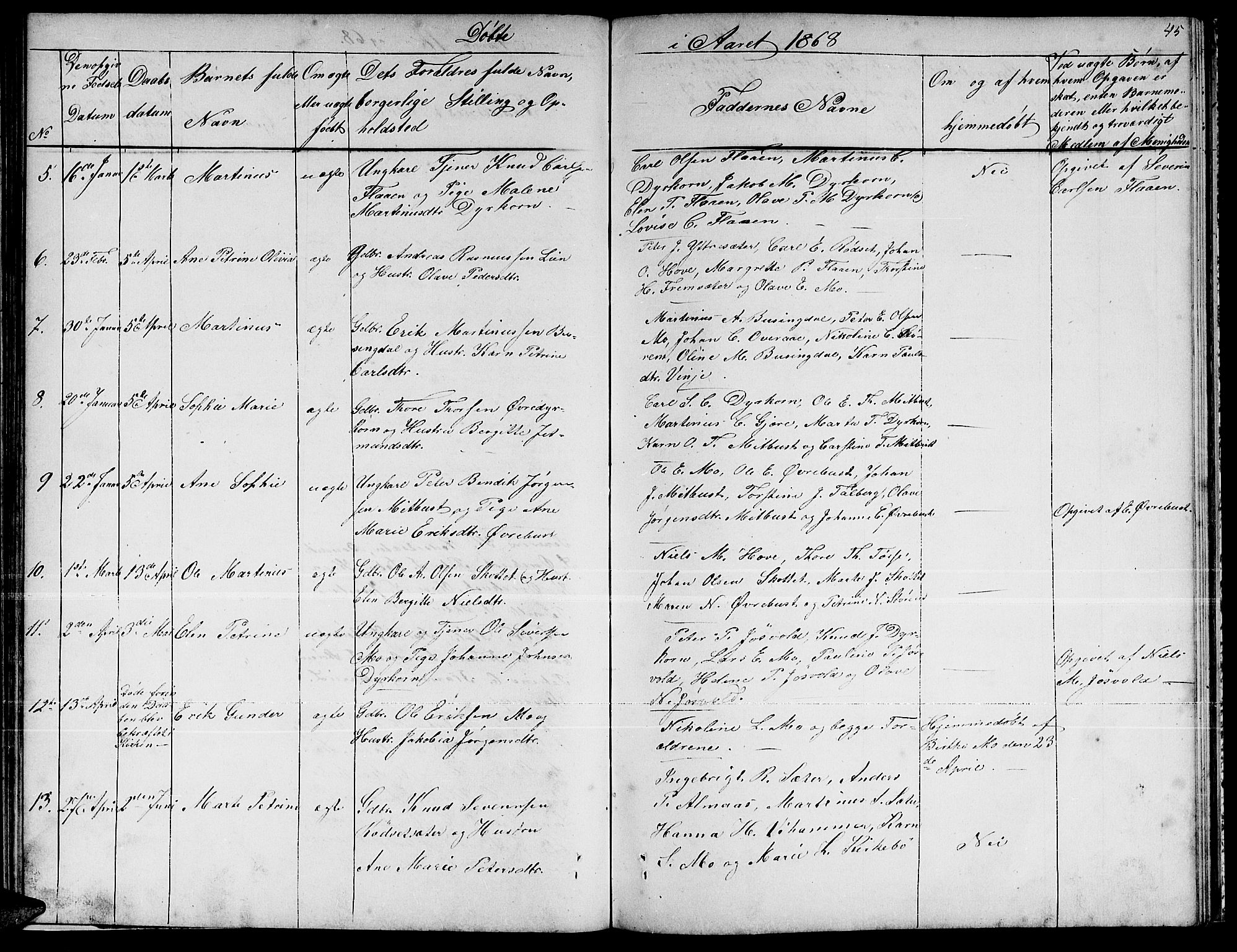 Ministerialprotokoller, klokkerbøker og fødselsregistre - Møre og Romsdal, SAT/A-1454/521/L0300: Parish register (copy) no. 521C01, 1854-1881, p. 45