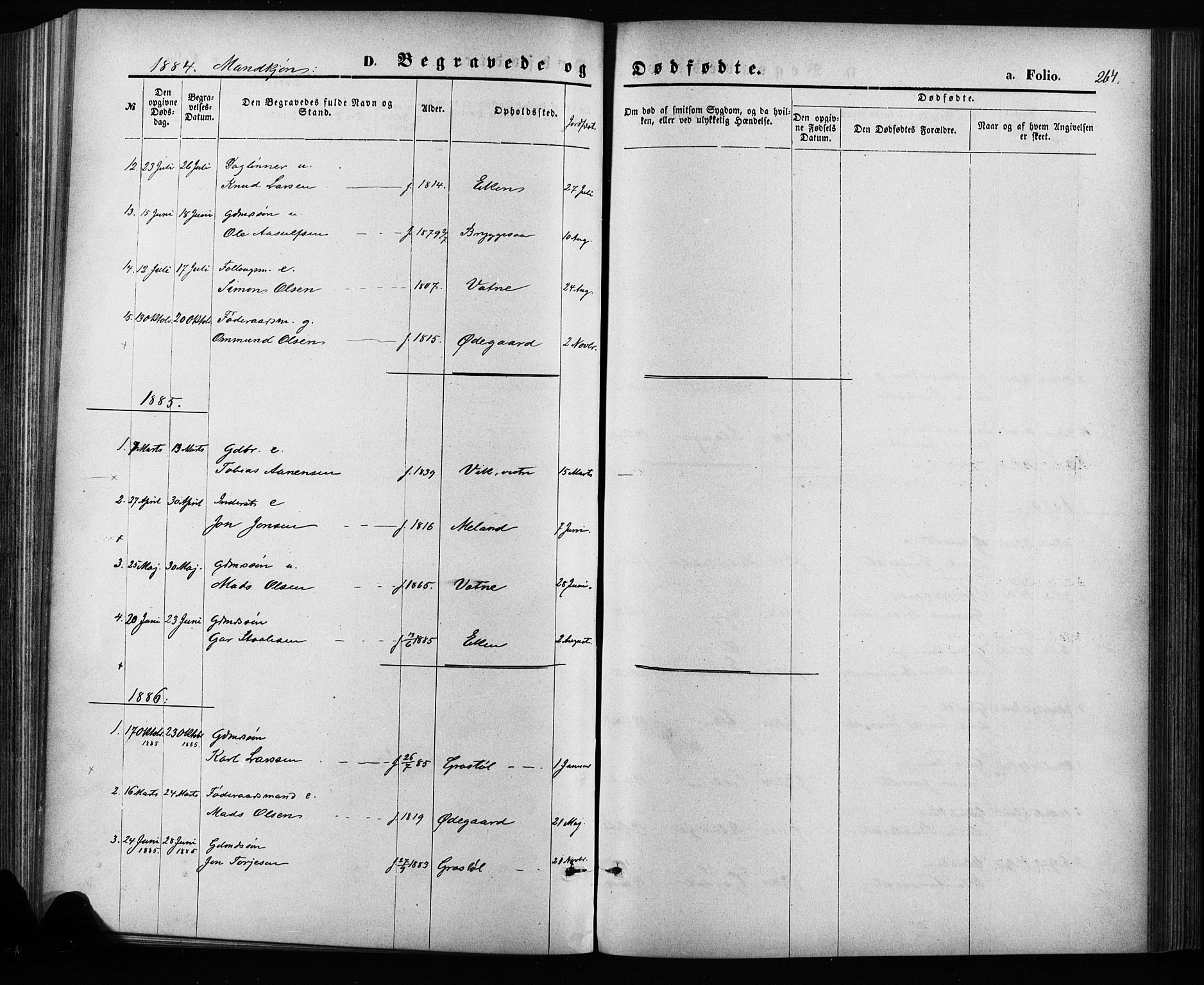Hægebostad sokneprestkontor, SAK/1111-0024/F/Fa/Fab/L0003: Parish register (official) no. A 3, 1872-1886, p. 264