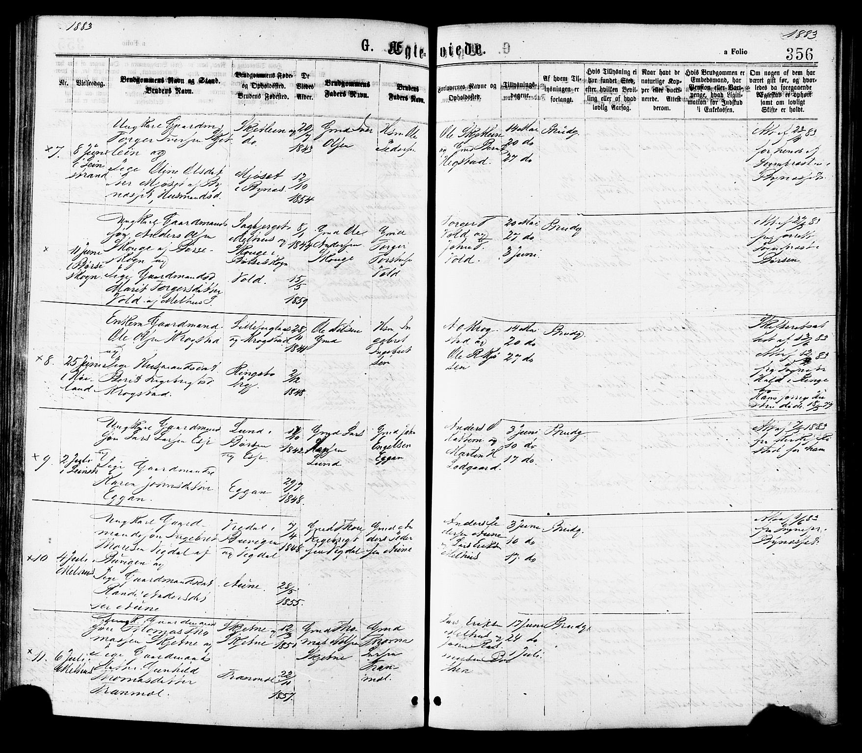 Ministerialprotokoller, klokkerbøker og fødselsregistre - Sør-Trøndelag, SAT/A-1456/691/L1079: Parish register (official) no. 691A11, 1873-1886, p. 356