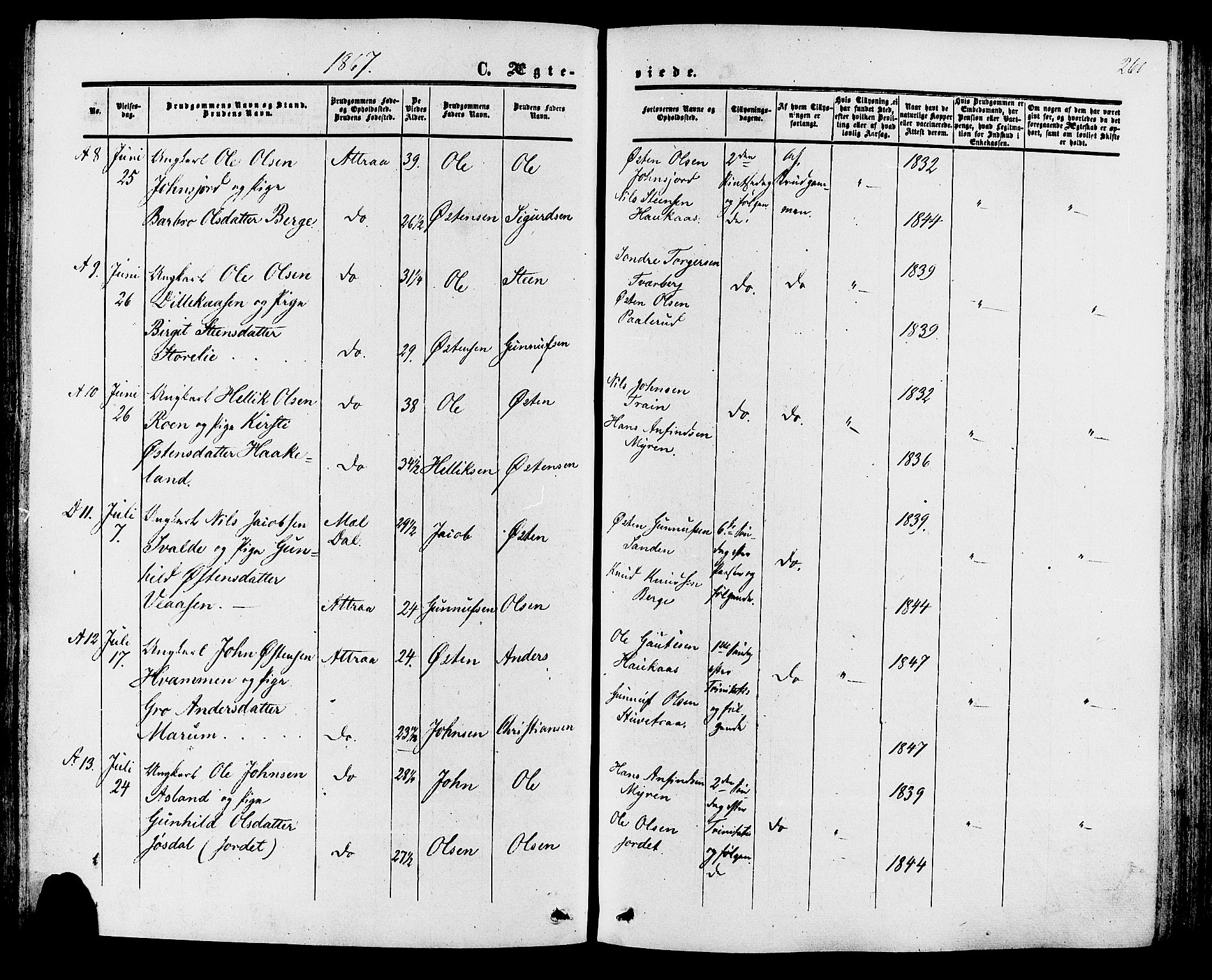 Tinn kirkebøker, SAKO/A-308/F/Fa/L0006: Parish register (official) no. I 6, 1857-1878, p. 260