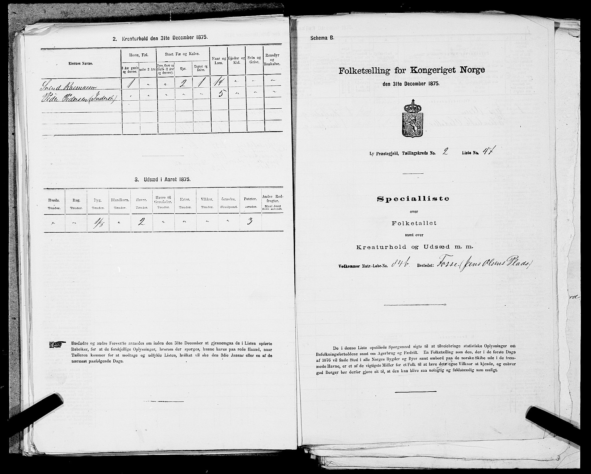 SAST, 1875 census for 1121P Lye, 1875, p. 324