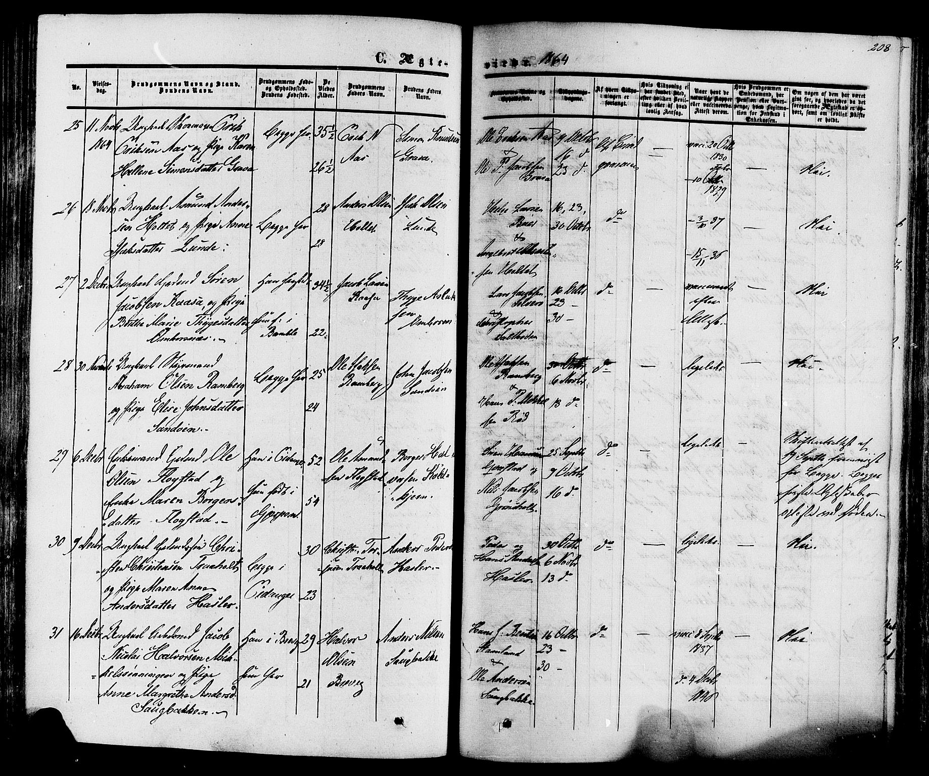 Eidanger kirkebøker, SAKO/A-261/F/Fa/L0010: Parish register (official) no. 10, 1859-1874, p. 208