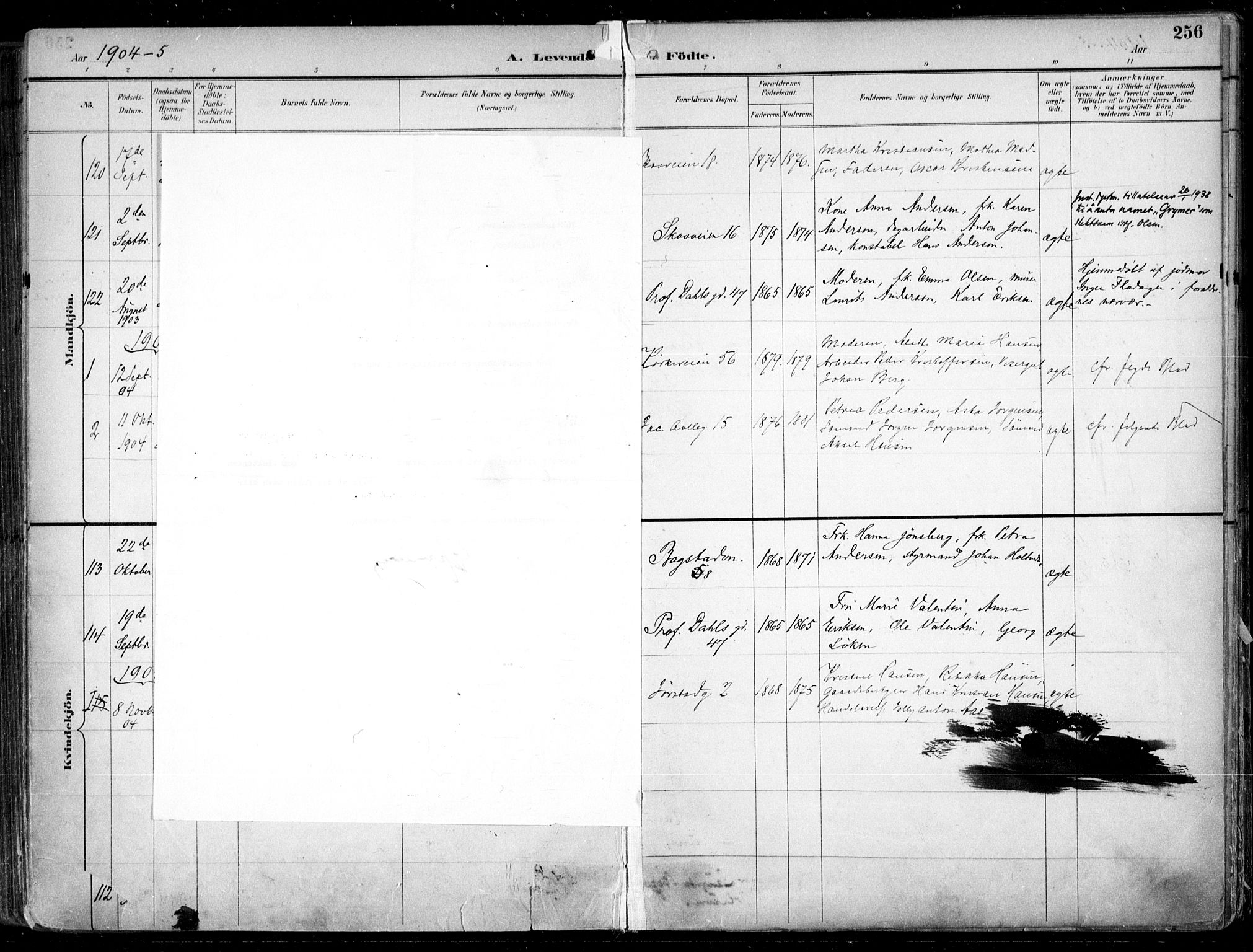 Uranienborg prestekontor Kirkebøker, AV/SAO-A-10877/F/Fa/L0005: Parish register (official) no. 5, 1895-1907, p. 256