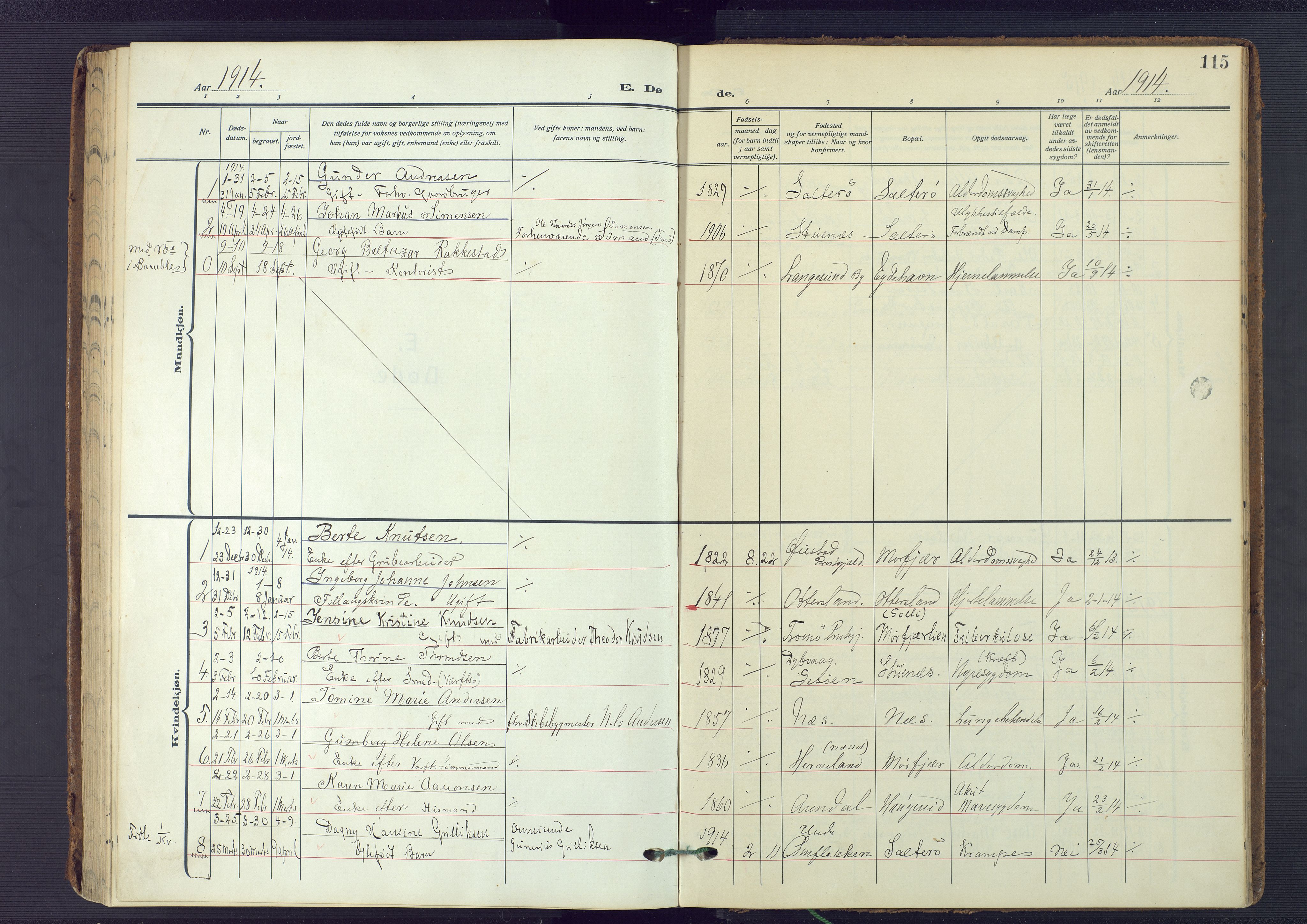 Austre Moland sokneprestkontor, SAK/1111-0001/F/Fa/Fab/L0003: Parish register (official) no. A 3, 1914-1927, p. 115
