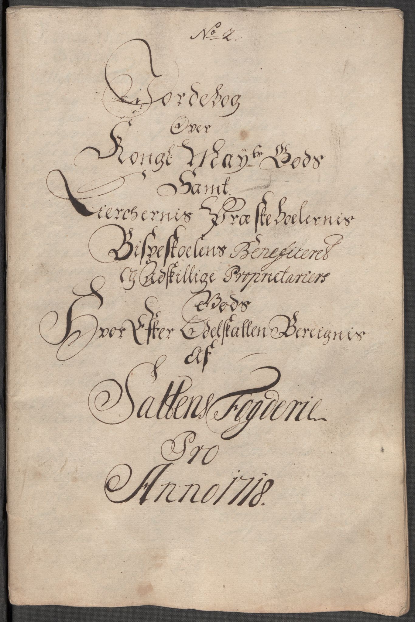 Rentekammeret inntil 1814, Reviderte regnskaper, Fogderegnskap, AV/RA-EA-4092/R66/L4588: Fogderegnskap Salten, 1718, p. 392