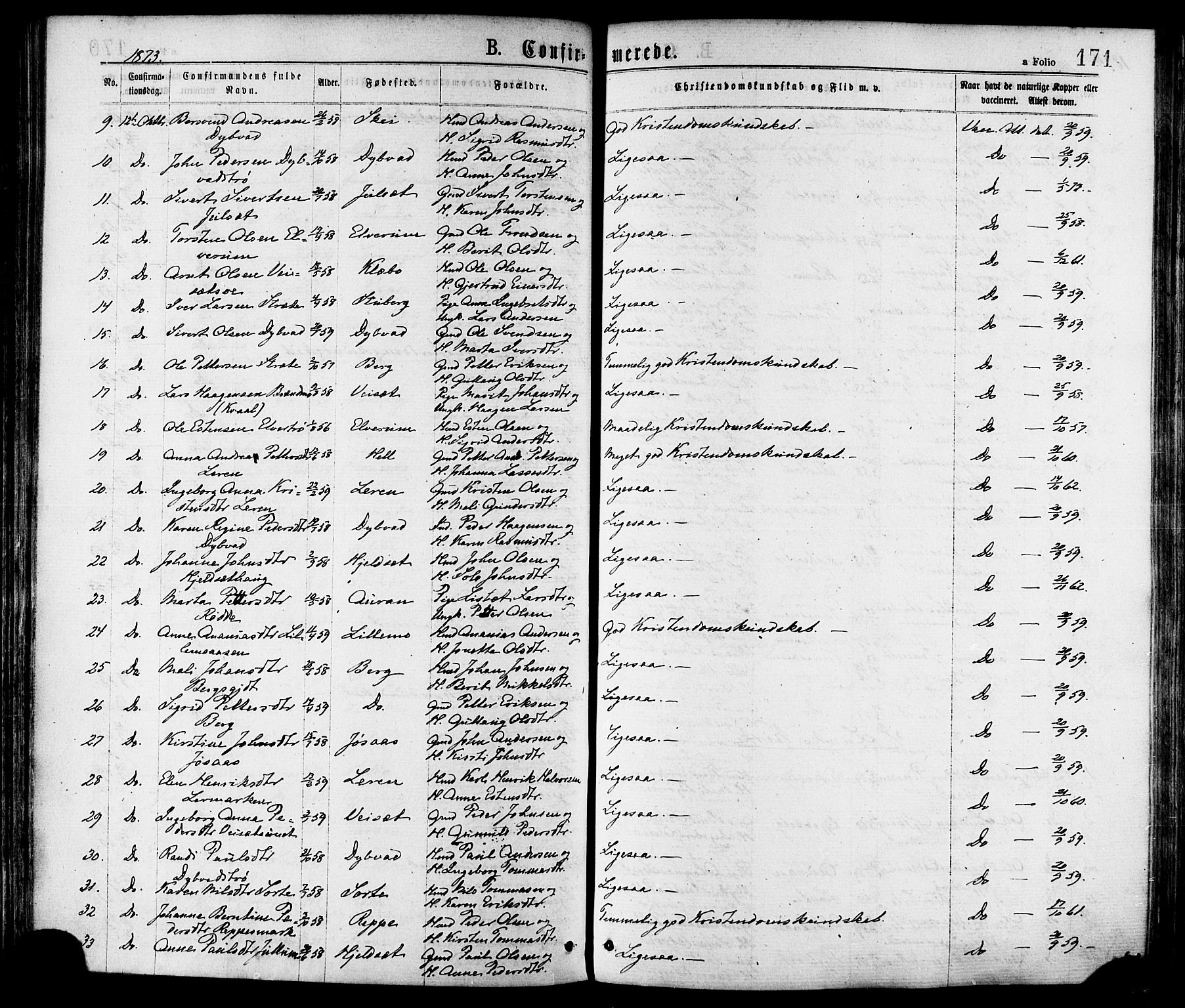 Ministerialprotokoller, klokkerbøker og fødselsregistre - Nord-Trøndelag, AV/SAT-A-1458/709/L0076: Parish register (official) no. 709A16, 1871-1879, p. 171