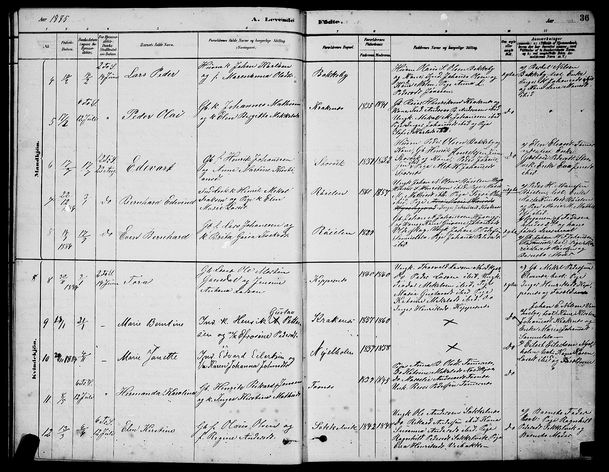 Skjervøy sokneprestkontor, AV/SATØ-S-1300/H/Ha/Hab/L0020klokker: Parish register (copy) no. 20, 1878-1892, p. 36