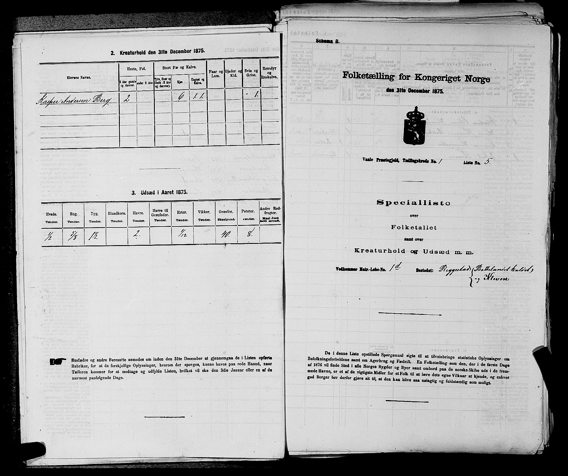 SAKO, 1875 census for 0716P Våle, 1875, p. 45