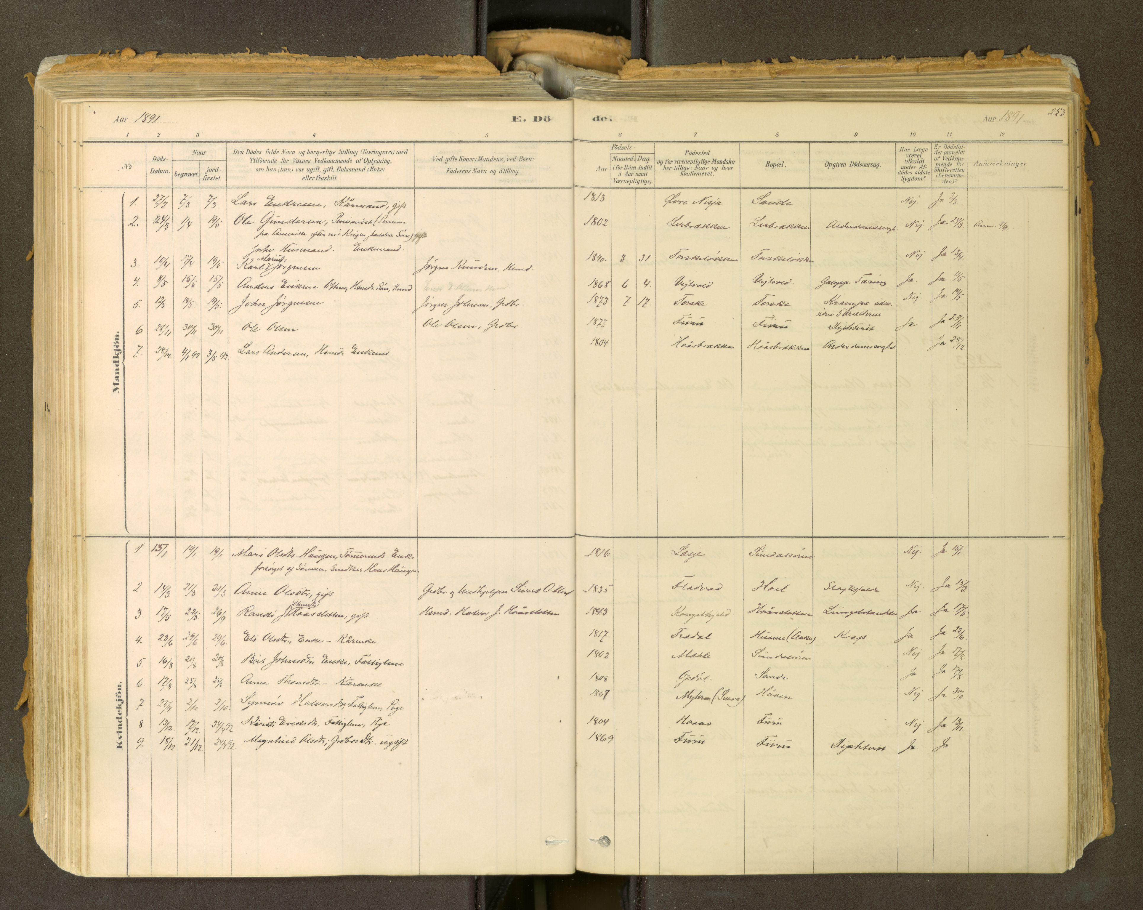 Sunndal sokneprestkontor, SAT/A-1085/1/I/I1/I1a: Parish register (official) no. 2, 1877-1914, p. 253