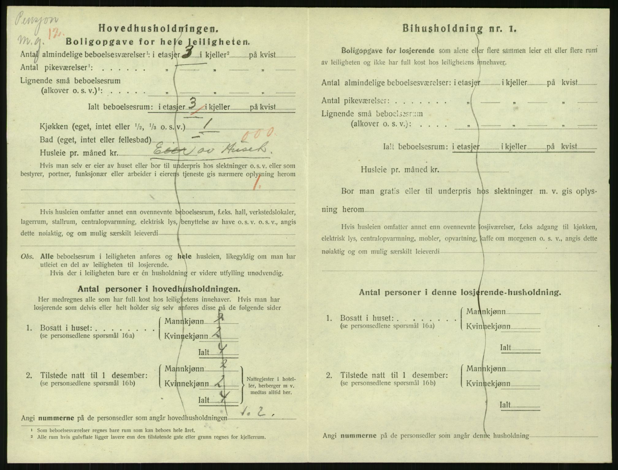 SAKO, 1920 census for Svelvik, 1920, p. 802