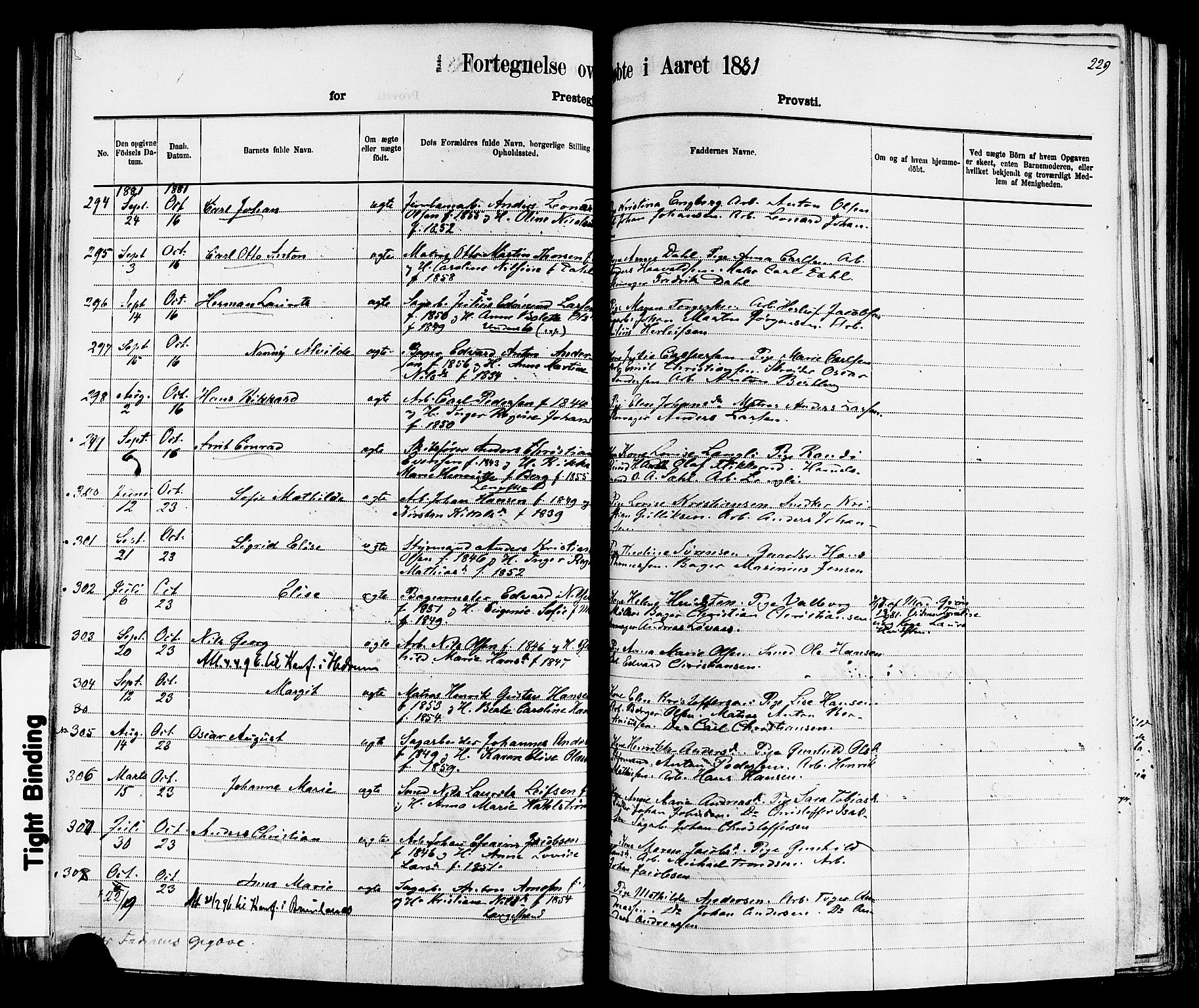 Larvik kirkebøker, AV/SAKO-A-352/F/Fa/L0006: Parish register (official) no. I 6, 1871-1883, p. 229