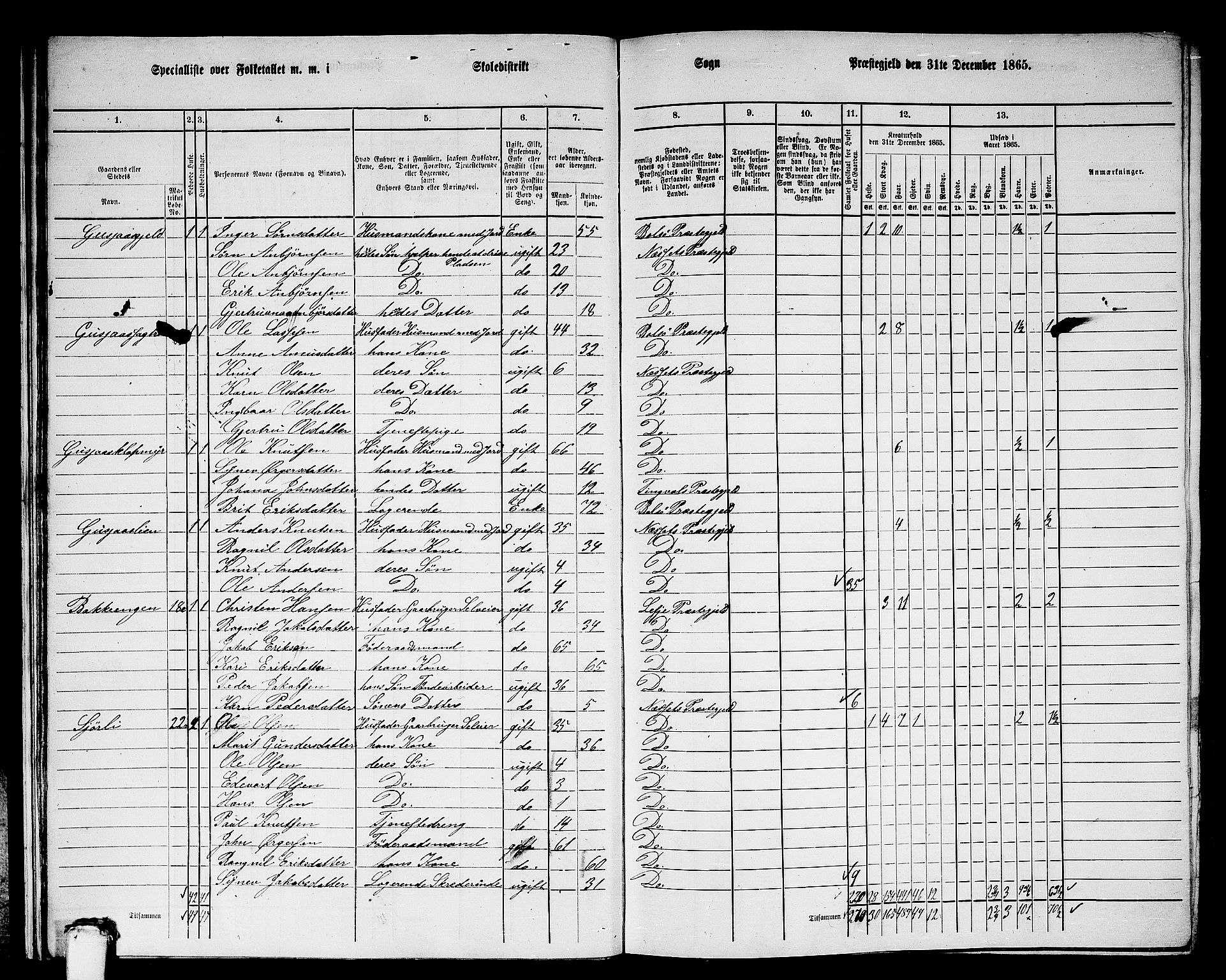 RA, 1865 census for Nesset, 1865, p. 19