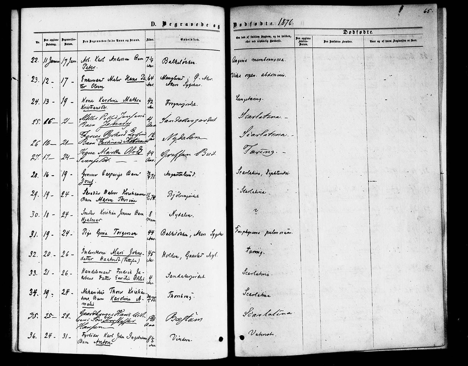 Vestre Aker prestekontor Kirkebøker, AV/SAO-A-10025/F/Fa/L0006: Parish register (official) no. 6, 1873-1886, p. 65