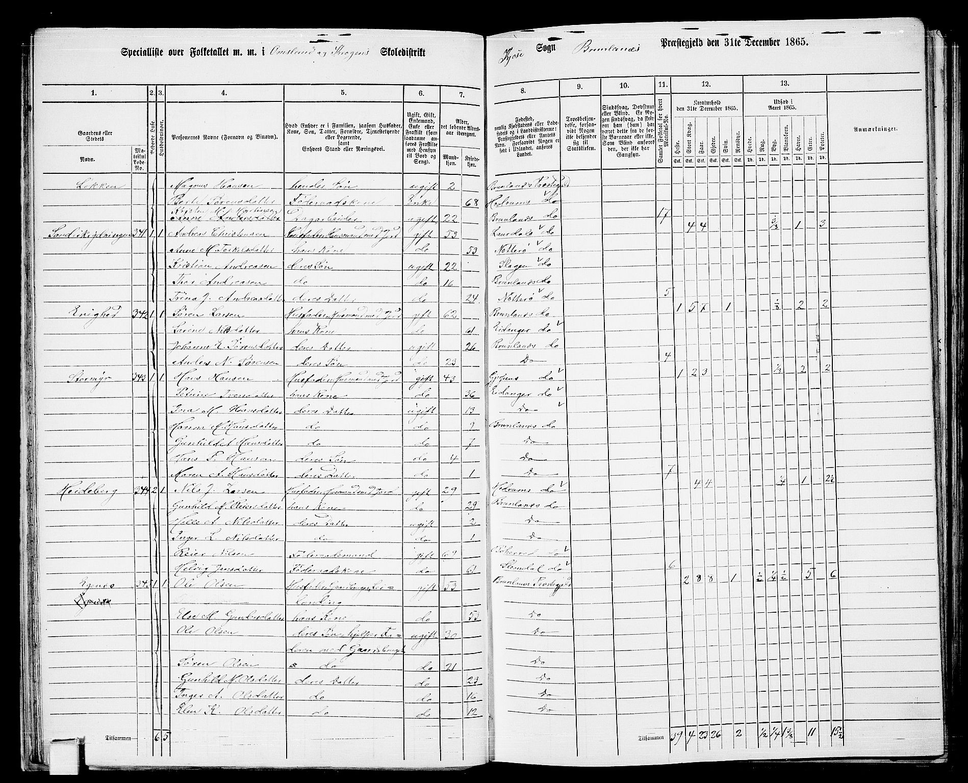 RA, 1865 census for Brunlanes, 1865, p. 30